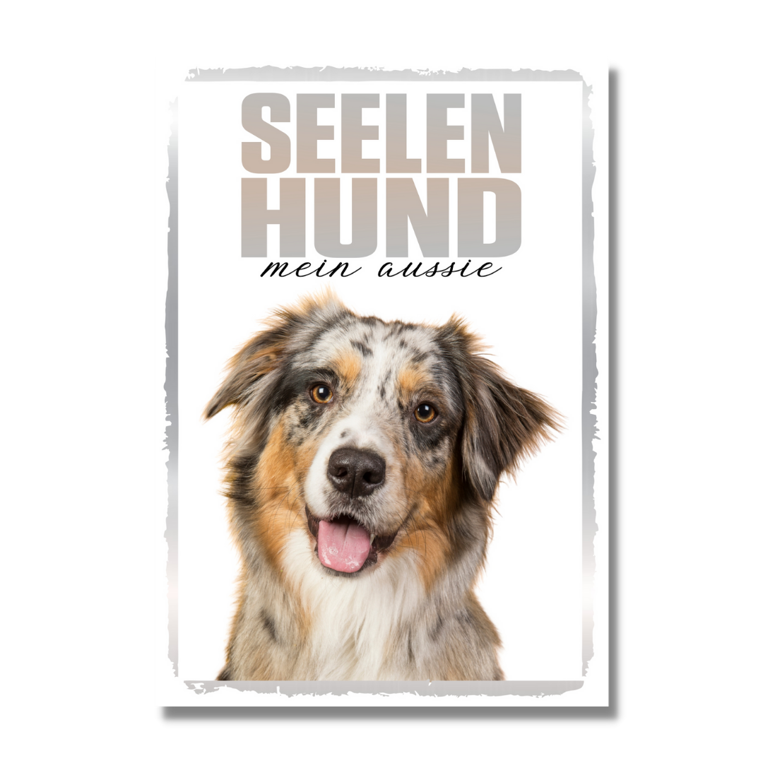 Australian Shepherd 4 Seelenhund Dog Schild Spruch Türschild Hundeschild Warnschild Soulmate