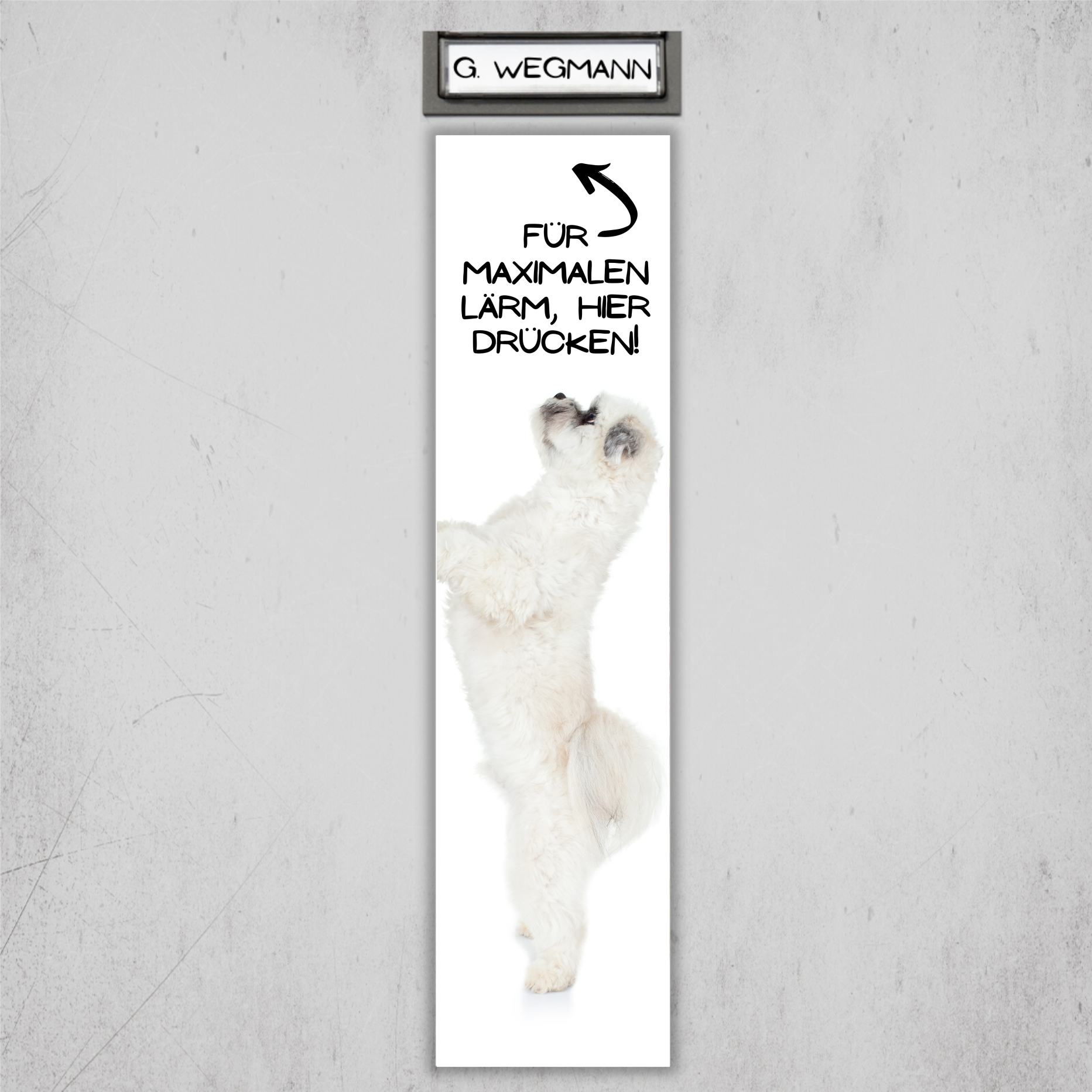 Havaneser Havanese Kuba Bichon Havana Bichon Habanero Dog Türschild Warnschild Hundeschild Schildr happy Design by Siviwonder