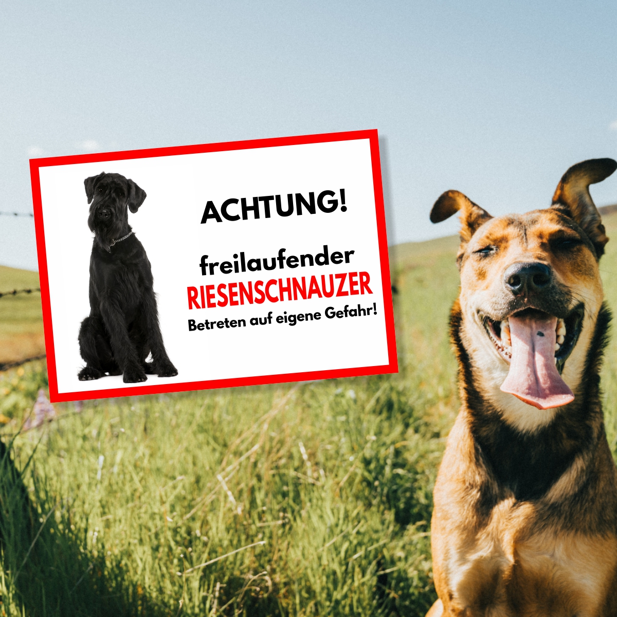 Riesenschnauzer Freilaufender Hund Dog Schild Spruch Türschild Hundeschild Warnschild