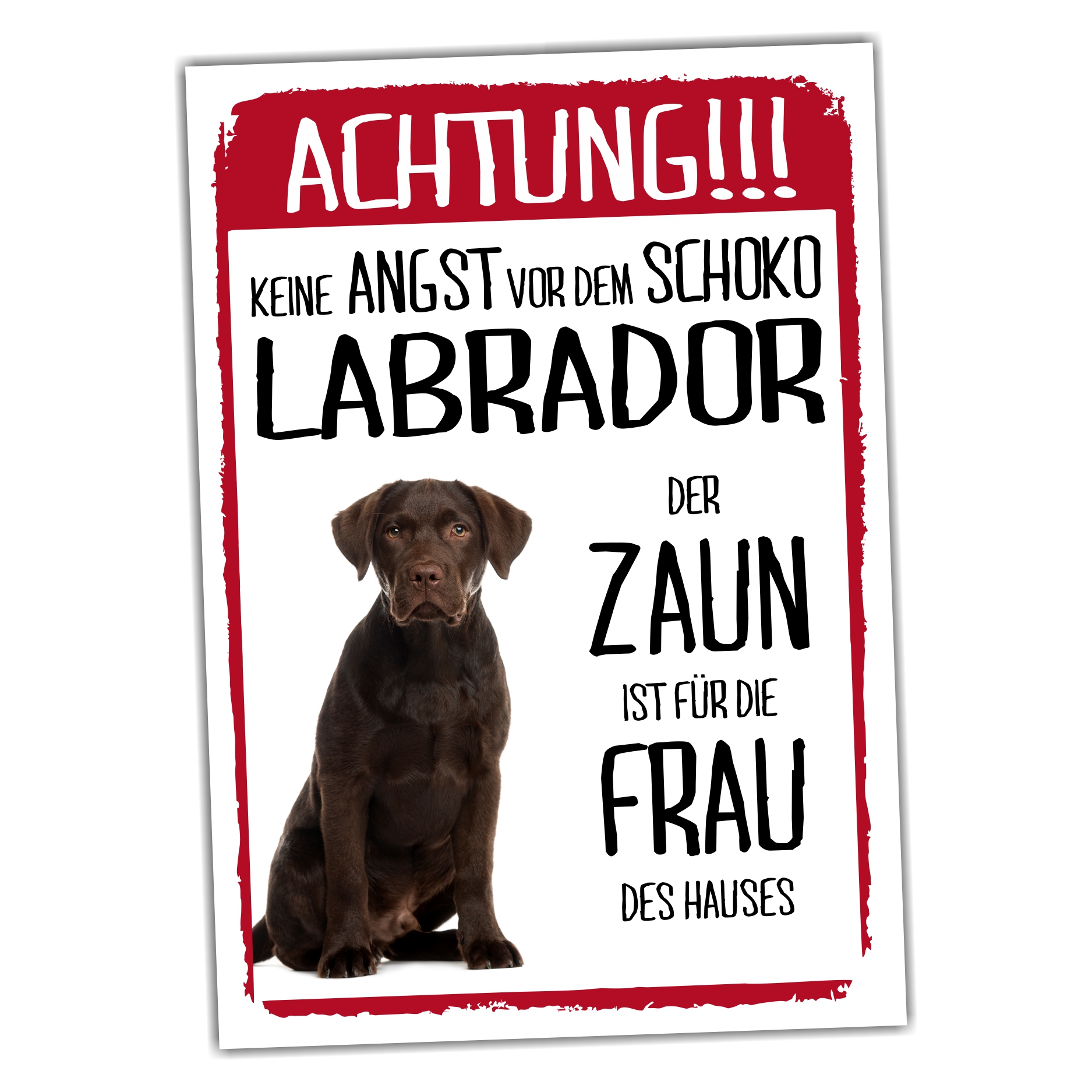 Labrador Braun Dog Schild Achtung Zaun Frau Spruch Türschild Hundeschild Warnschild Fun