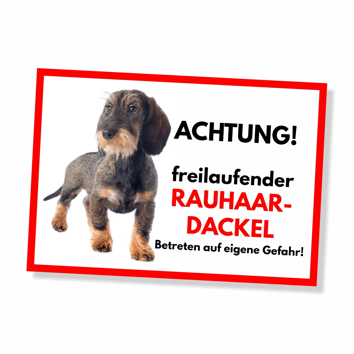 Rauhaardackel Freilaufender Hund Dog Schild Spruch Türschild Hundeschild Warnschild