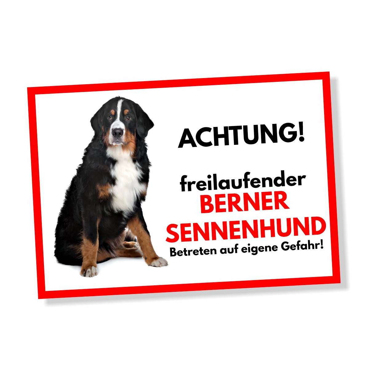 Berner Sennenhund Freilaufender Hund Dog Schild Spruch Türschild Hundeschild Warnschild