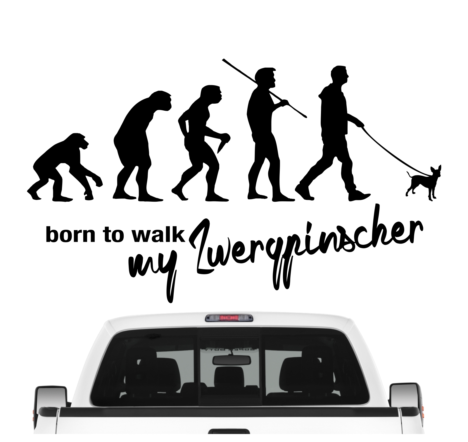 Zwergpinscher Min Pin Pinscher Miniature Mini  Evolution Born to Walk Hunde Aufkleber Sticker Autoaufkleber Wandtattoo Tattoo