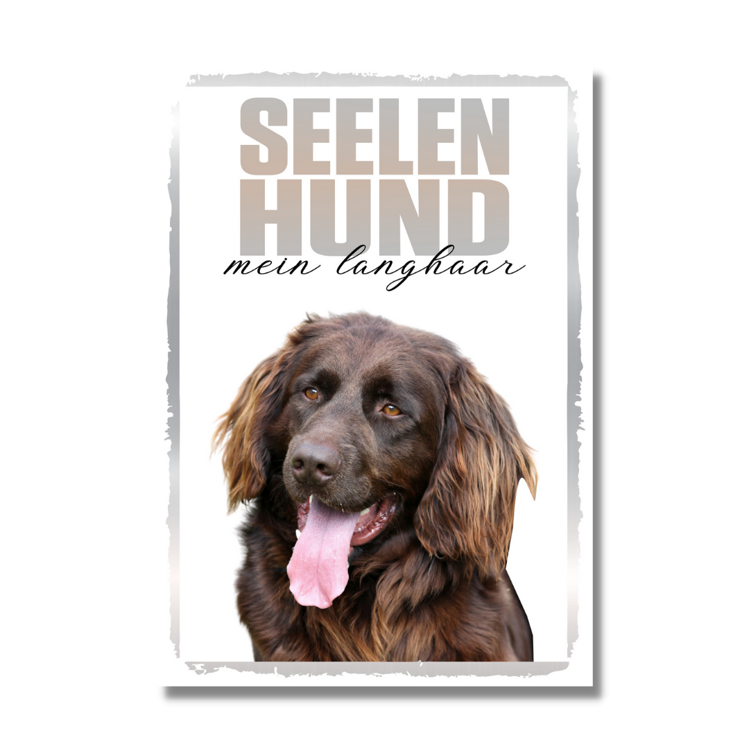 Deutsch Langhaar Seelenhund Dog Schild Spruch Türschild Hundeschild Warnschild Soulmate