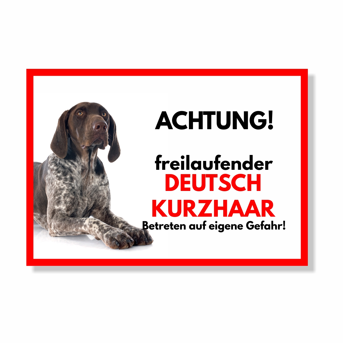 Deutsch Kurzhaar Freilaufender Hund Dog Schild Spruch Türschild Hundeschild Warnschild