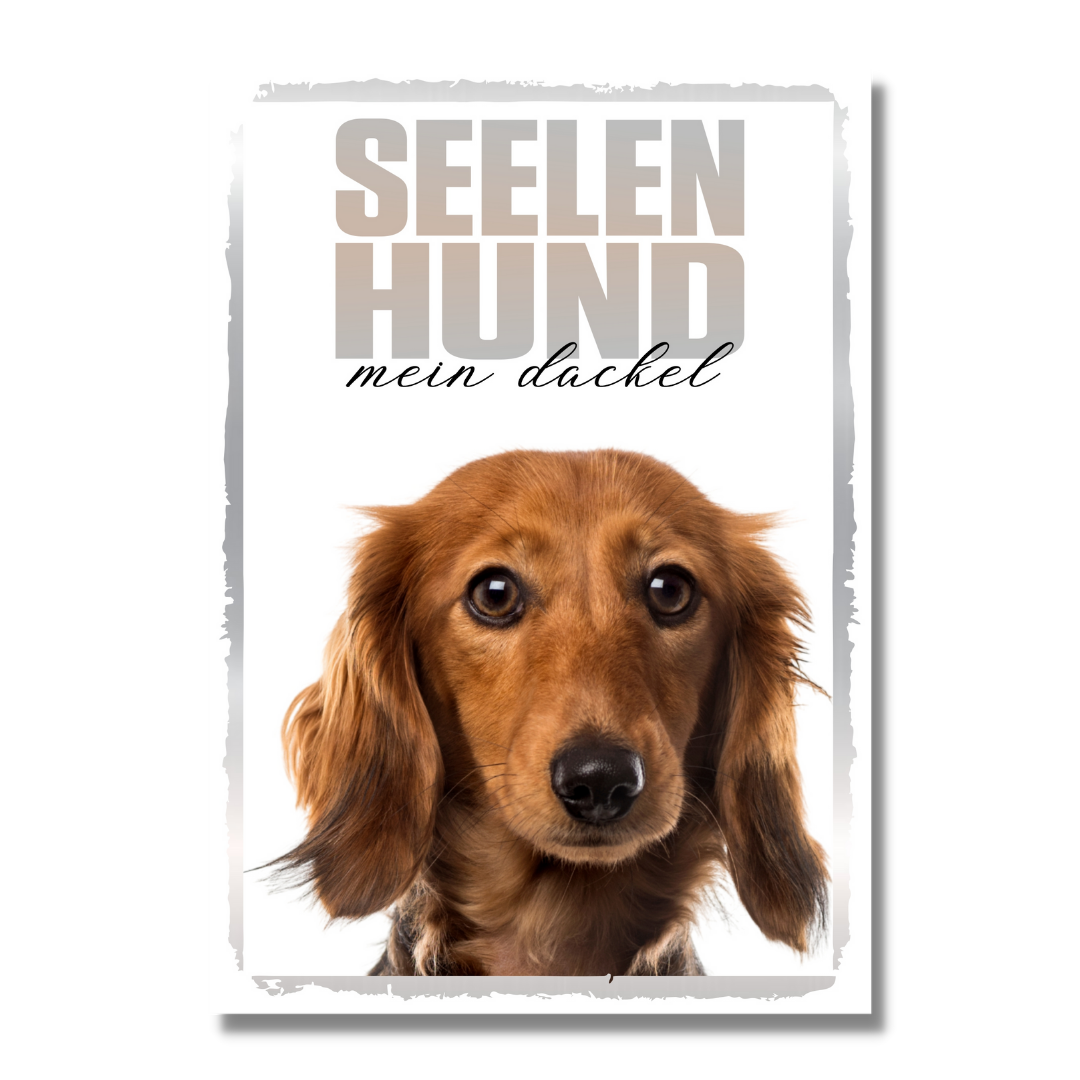 Dackel 2 Seelenhund Dog Schild Spruch Türschild Hundeschild Warnschild Soulmate