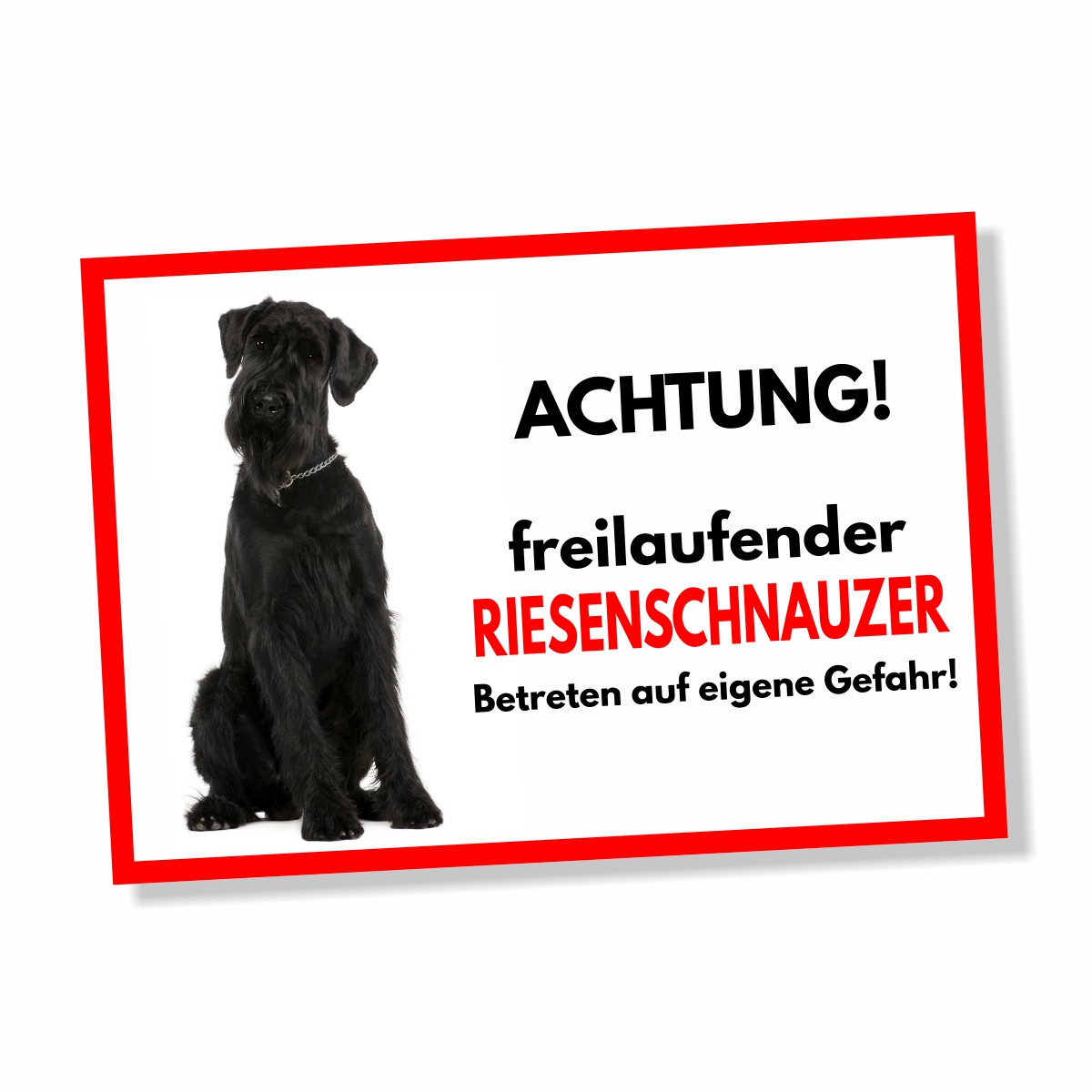 Riesenschnauzer Freilaufender Hund Dog Schild Spruch Türschild Hundeschild Warnschild