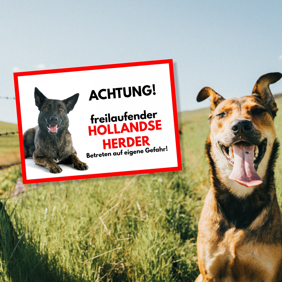 Hollandse Herder Freilaufender Hund Dog Schild Spruch Türschild Hundeschild Warnschild