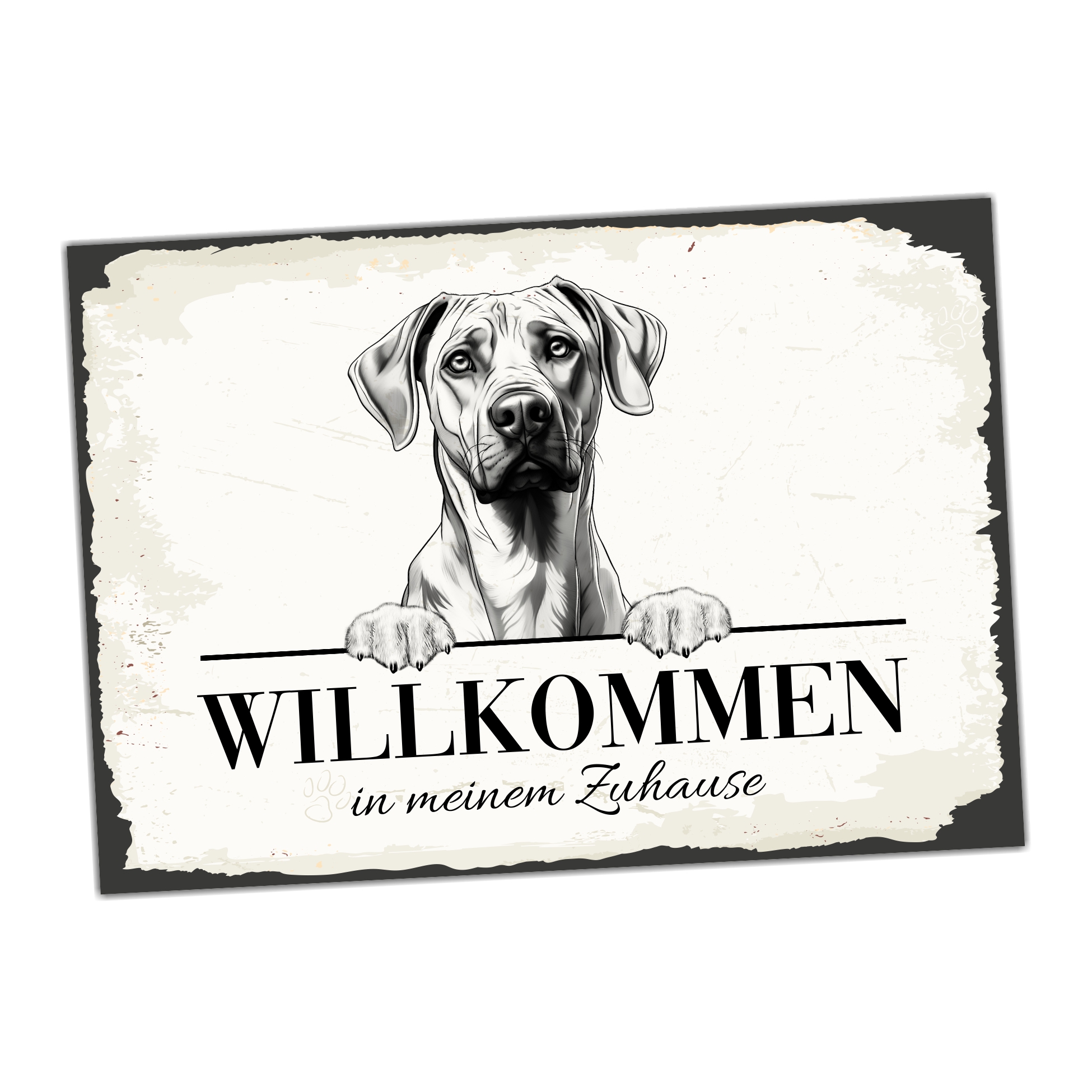 Hundeschild Willkommen Zuhause Ridgeback Dog Schild Spruch Türschild  Warnschild
