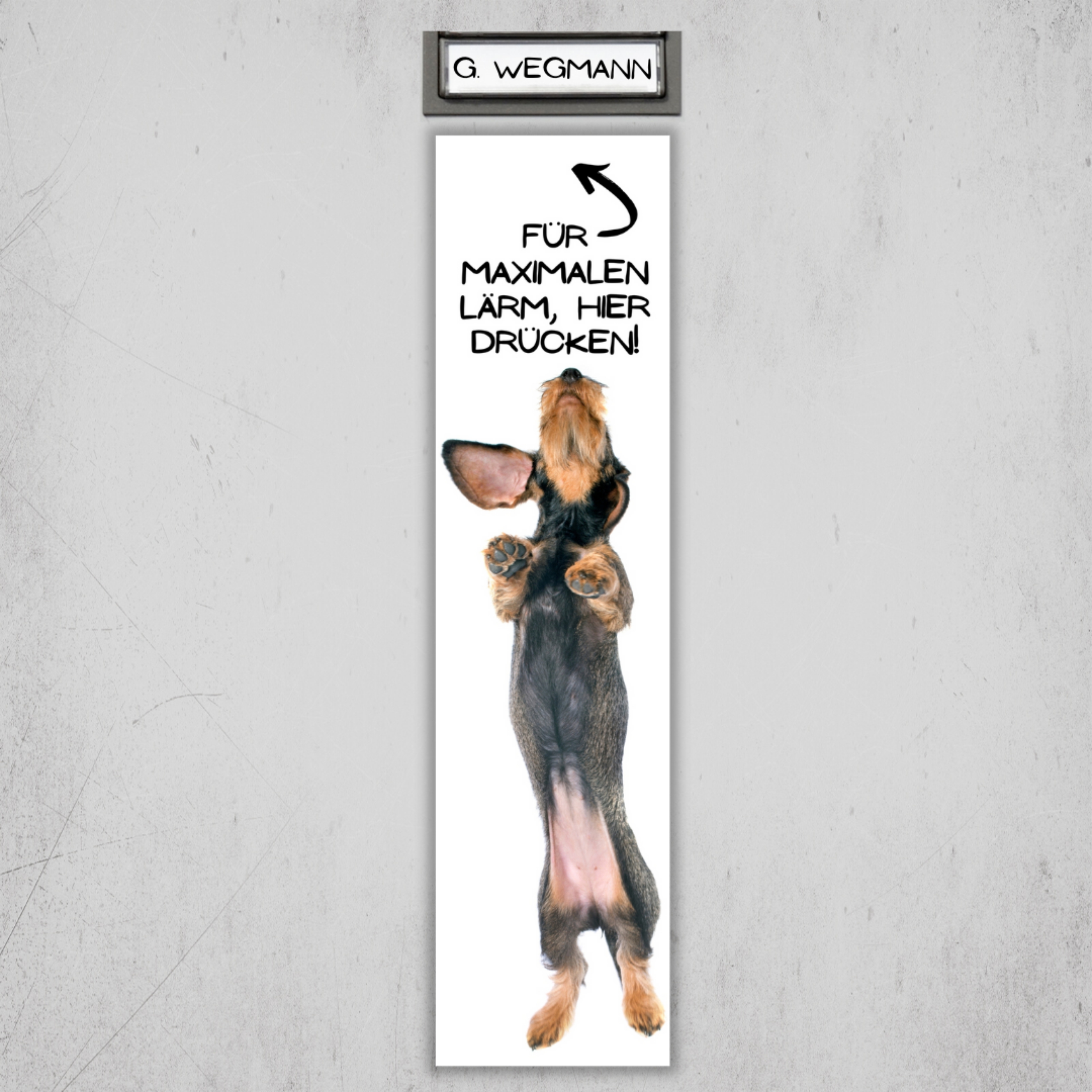 Rauhaardackel Dackel Teckel Dachshund Rauhhaardackel Dog Türschild Warnschild Hundeschild Schildr happy Design by Siviwonder