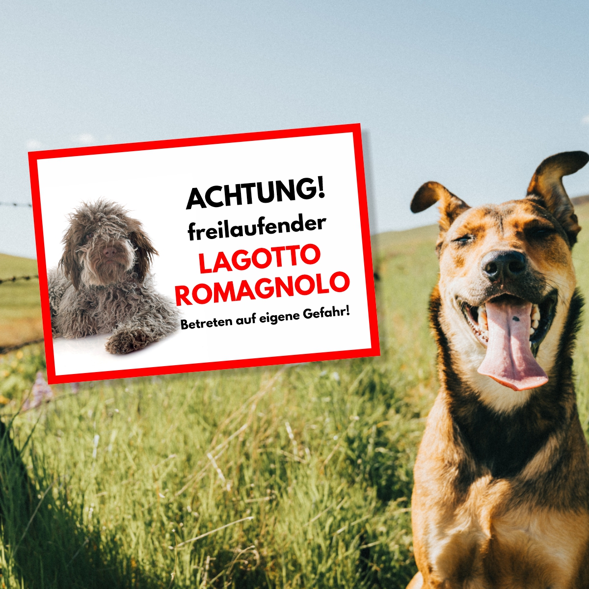 Lagotto Romagnolo Freilaufender Hund Dog Schild Spruch Türschild Hundeschild Warnschild