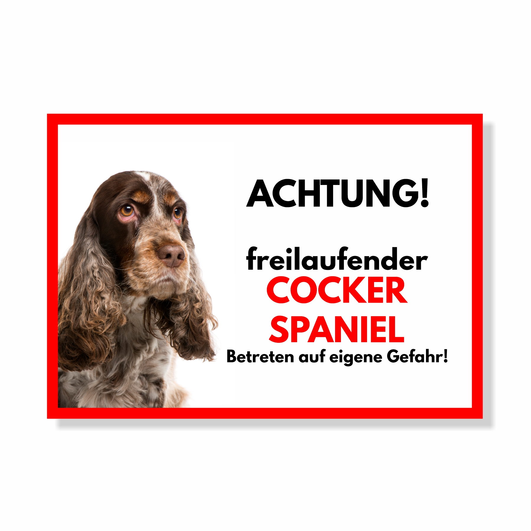 Cocker Spaniel 5 Freilaufender Hund Dog Schild Spruch Türschild Hundeschild Warnschild