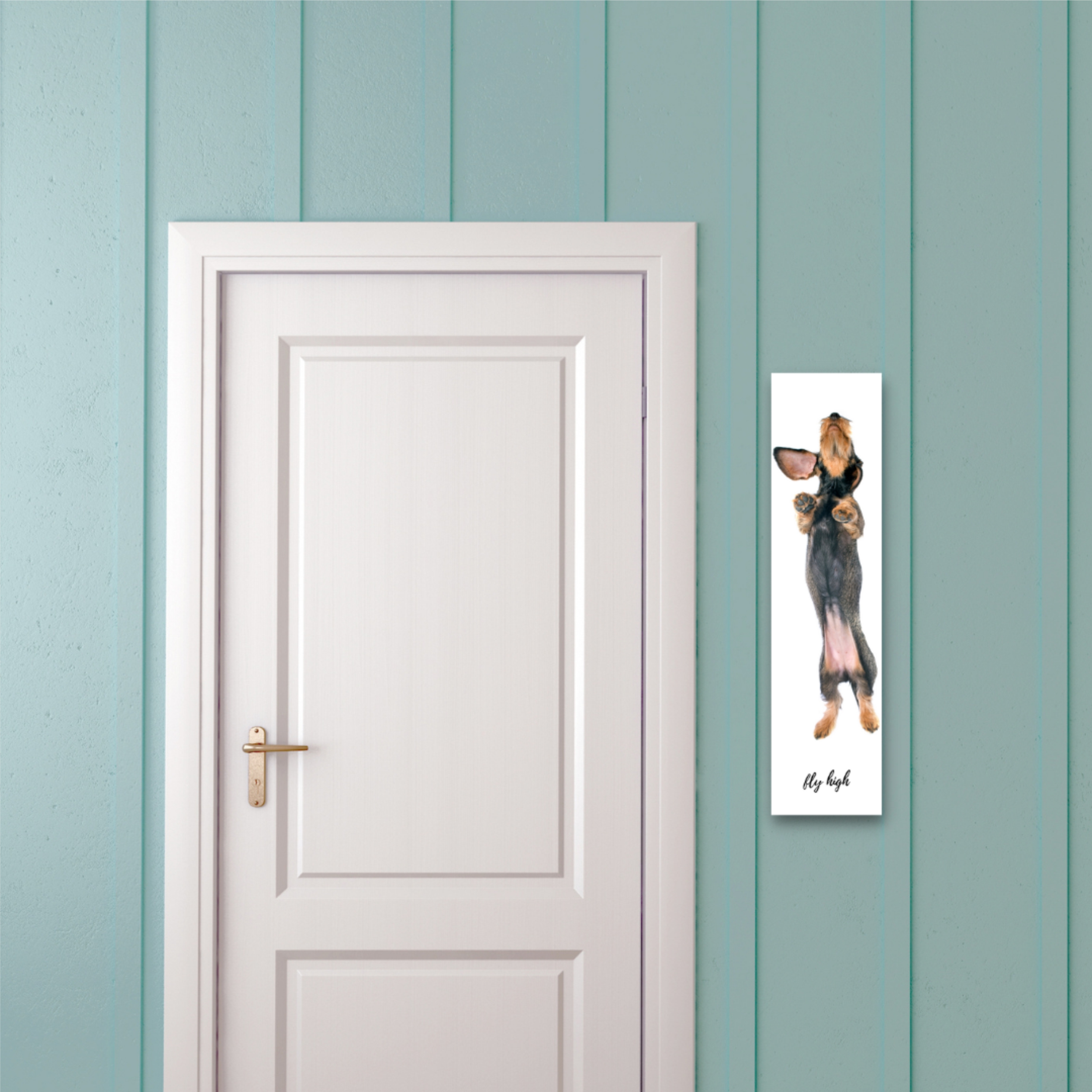 Rauhaardackel Dackel Schild Fly high Spruch Türschild Warnschild Fun cool Design