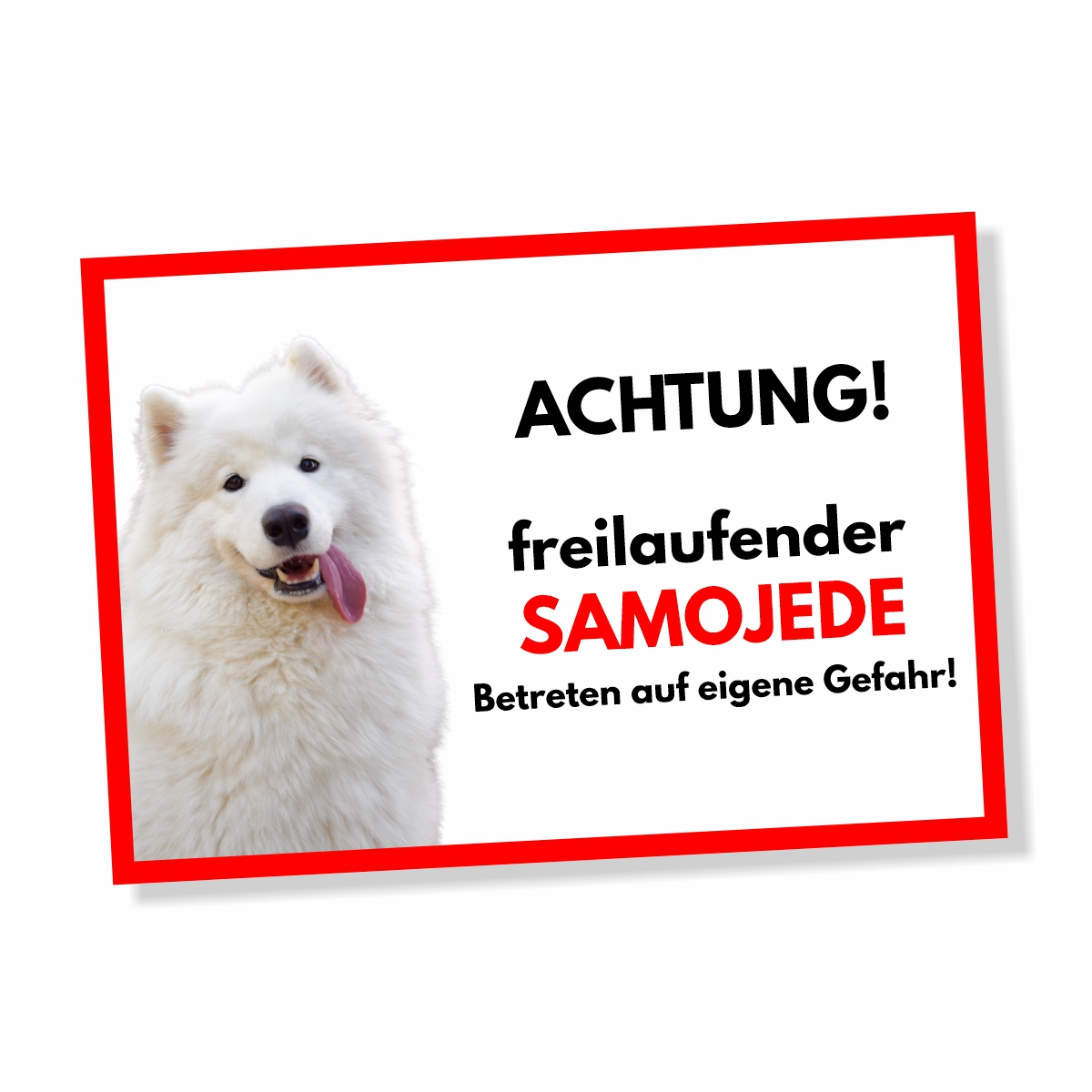 Samojede Freilaufender Hund Dog Schild Spruch Türschild Hundeschild Warnschild