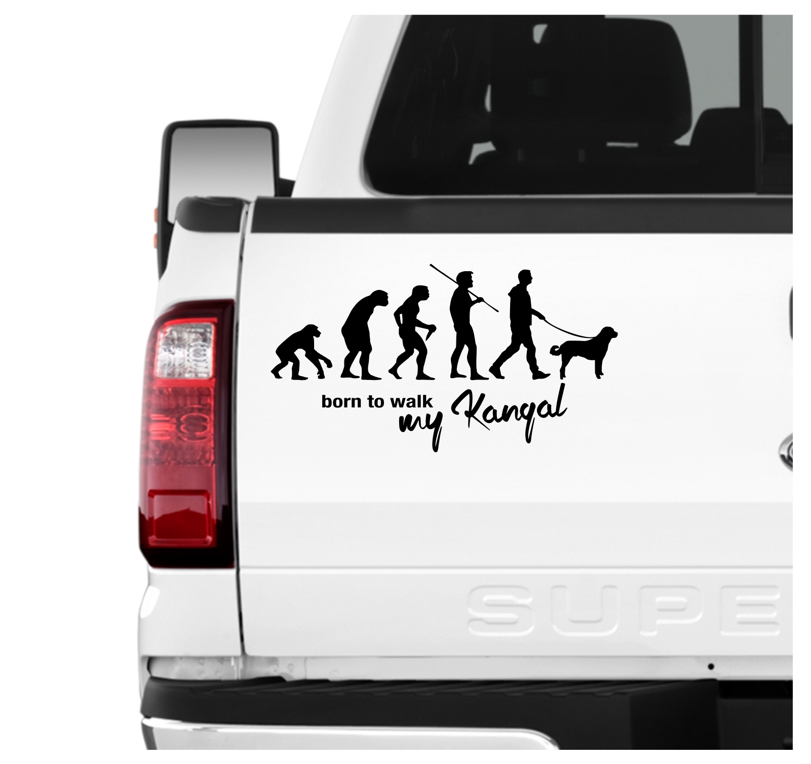 Kangal Hirtenhund Anatolischer Coban Köpegi Sivas Türkei Evolution Born to Walk Hunde Aufkleber Sticker Autoaufkleber Wandtattoo Tattoo