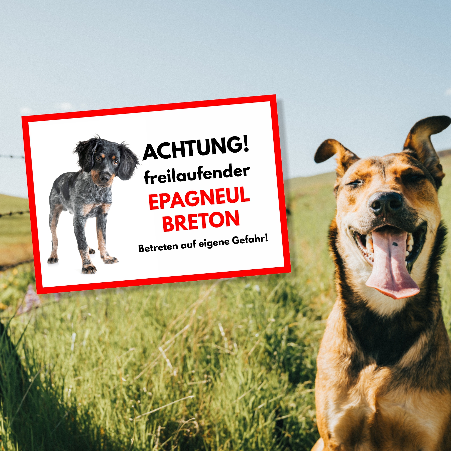 Epagneul Breton Freilaufender Hund Dog Schild Spruch Türschild Hundeschild Warnschild