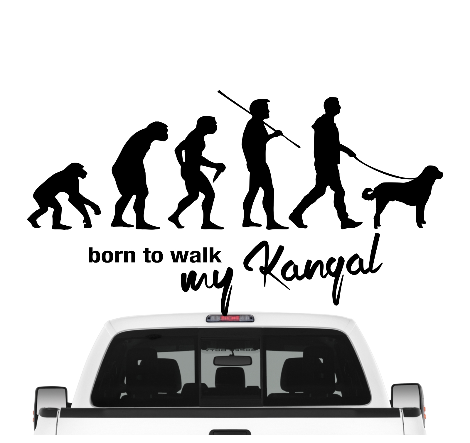 Kangal Hirtenhund Anatolischer Coban Köpegi Sivas Türkei Evolution Born to Walk Hunde Aufkleber Sticker Autoaufkleber Wandtattoo Tattoo