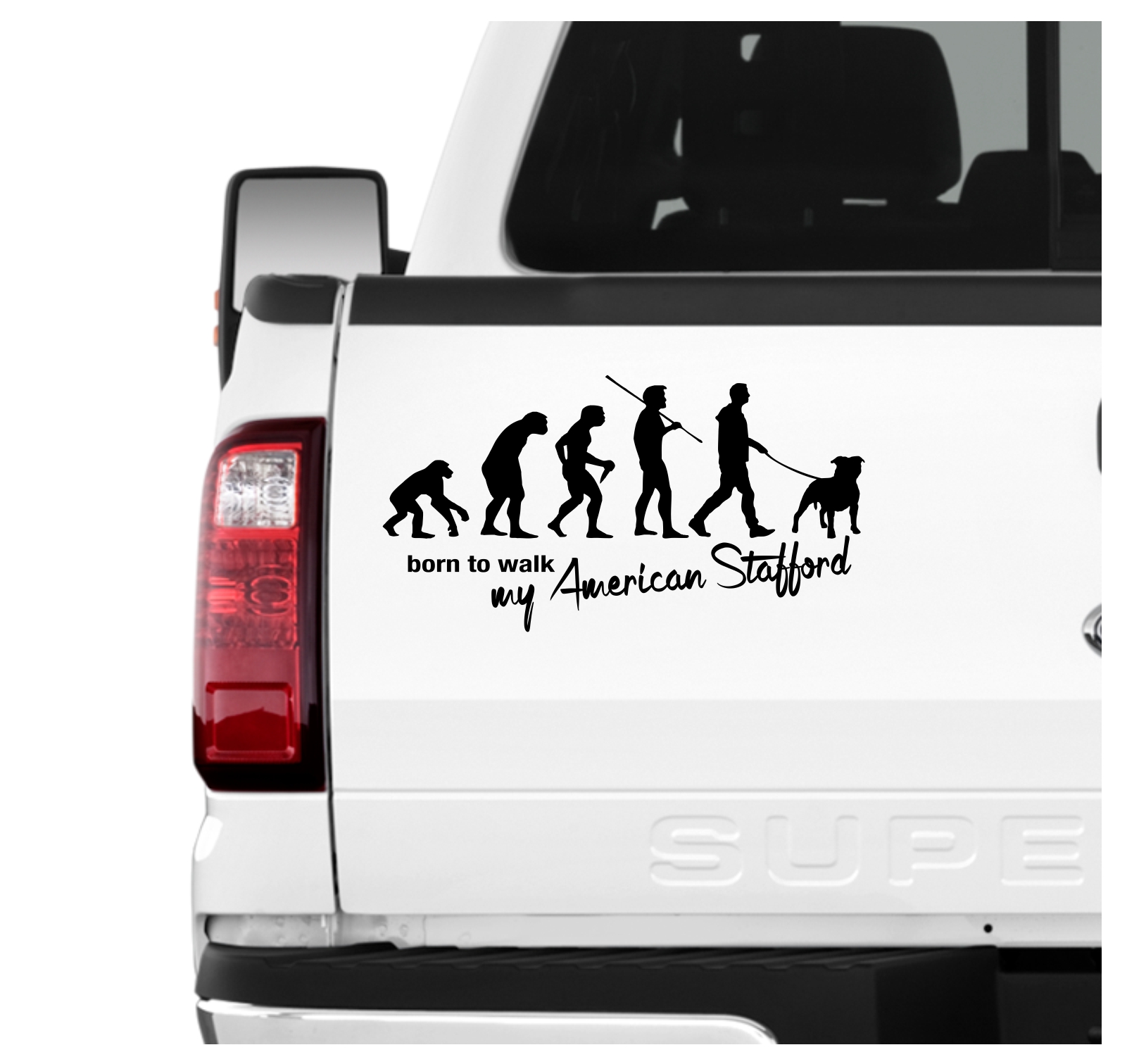 American Staffordshire Terrier USA AmStaff Pit Bull Terrier  Evolution Born to Walk Hunde Aufkleber Sticker Autoaufkleber Wandtattoo Tattoo