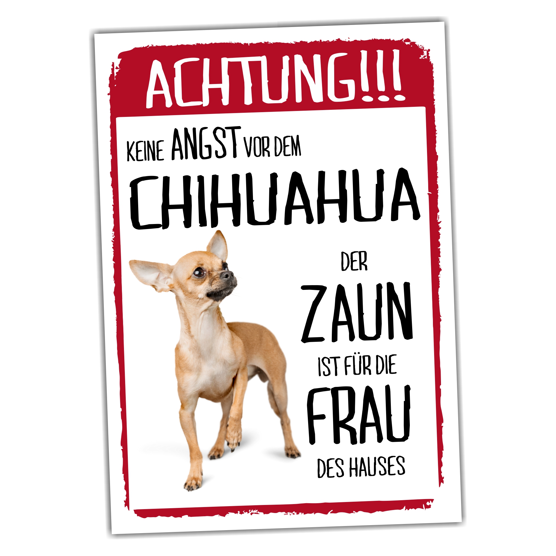 Chihuahua Kurzhaar Dog Schild Achtung Zaun Frau Spruch Türschild Hundeschild Warnschild Fun