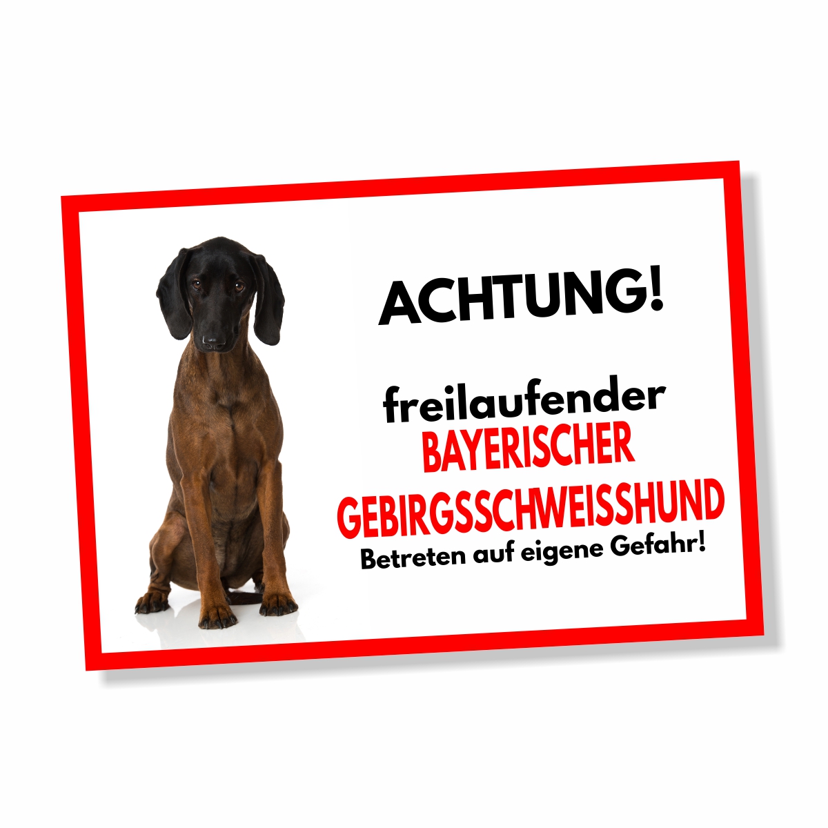 Bayerischer Gebirgsschweißhund Freilaufender Hund Dog Schild Spruch Türschild Hundeschild Warnschild