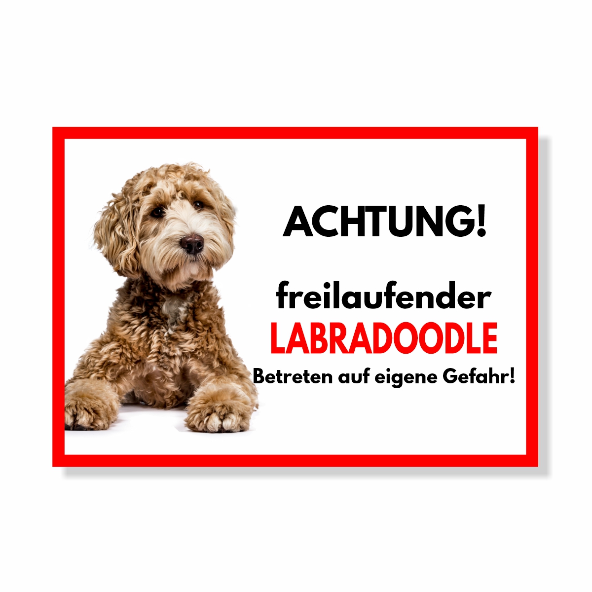 Labradoodle Freilaufender Hund Dog Schild Spruch Türschild Hundeschild Warnschild