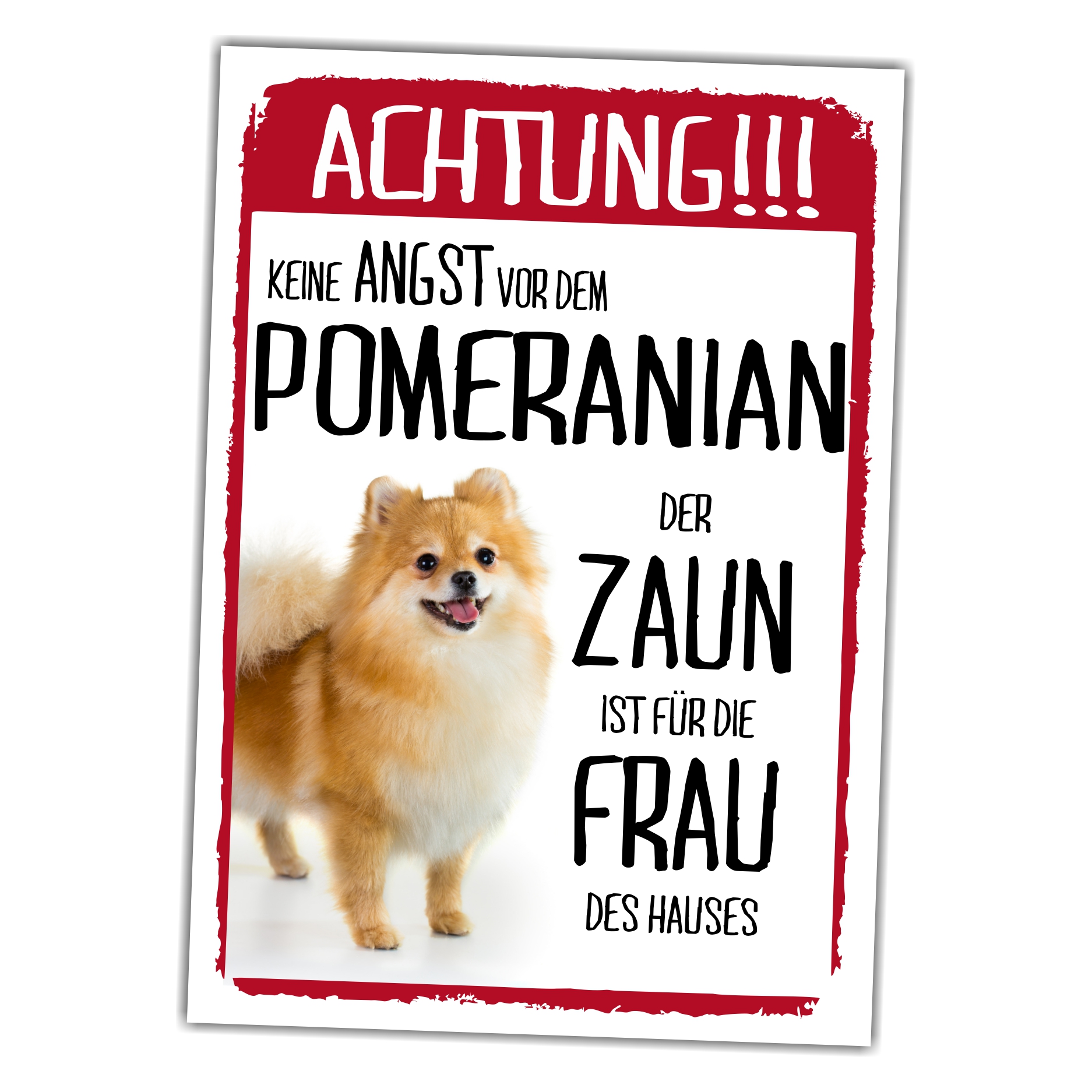 SchildZaun_Pomeranian