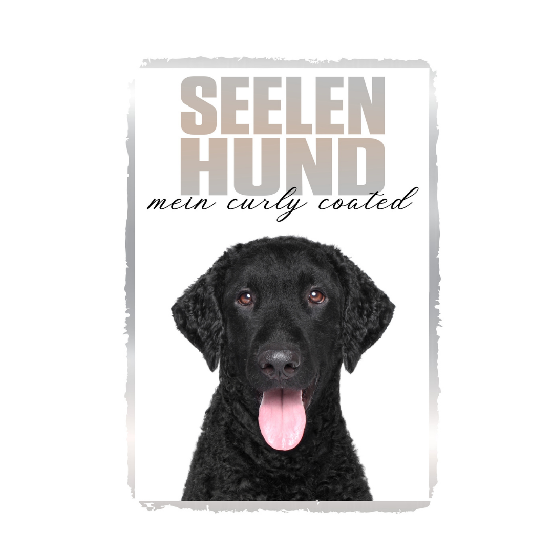 Curly Coated Retriever Seelenhund Dog Schild Spruch Türschild Hundeschild Warnschild Soulmate