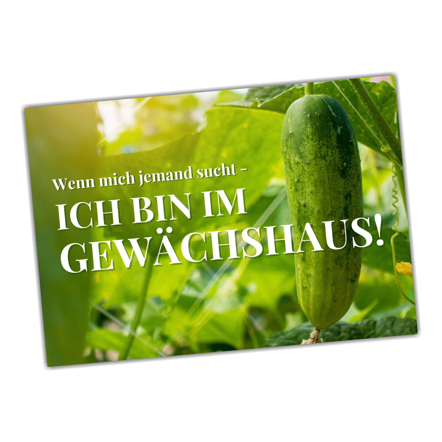 Garten bin im Gewächshaus Schild lustiger Spruch Türschild Warnschild Fun Metallschild