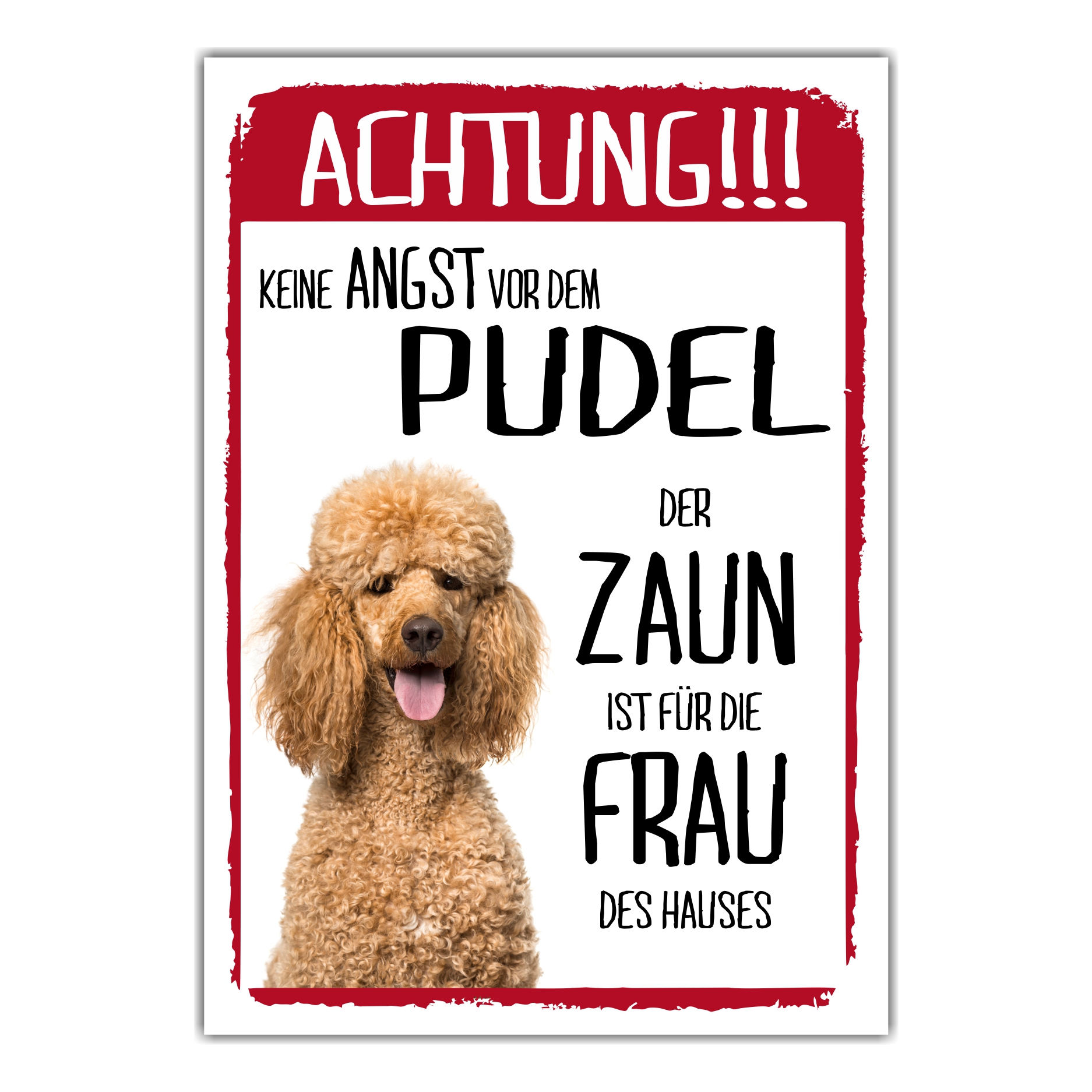 Pudel Apricot Dog Schild Achtung Zaun Frau Spruch Türschild Hundeschild Warnschild Fun
