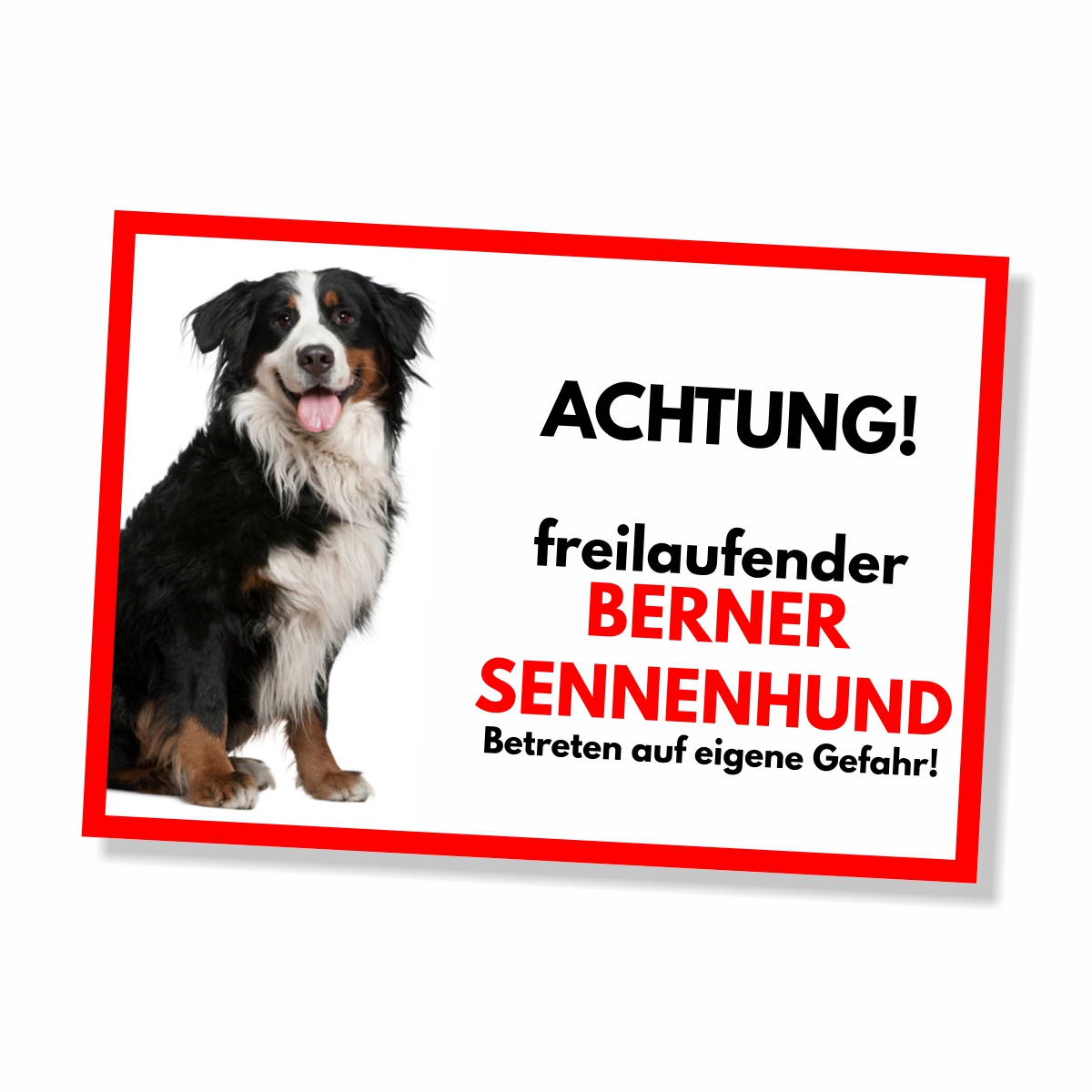 Berner Sennenhund Freilaufender Hund Dog Schild Spruch Türschild Hundeschild Warnschild