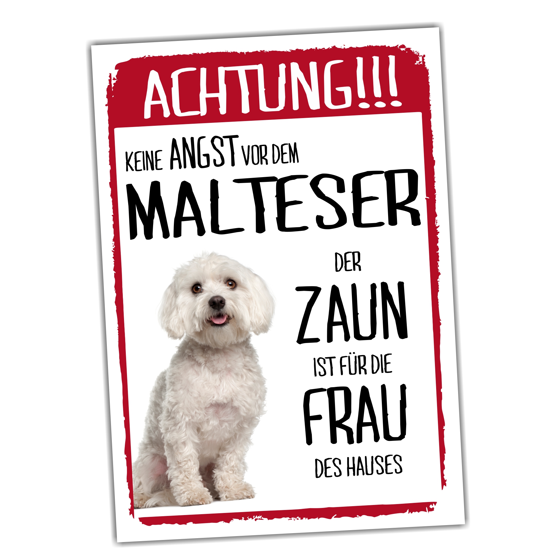Malteser Dog Schild Achtung Zaun Frau Spruch Türschild Hundeschild Warnschild Fun