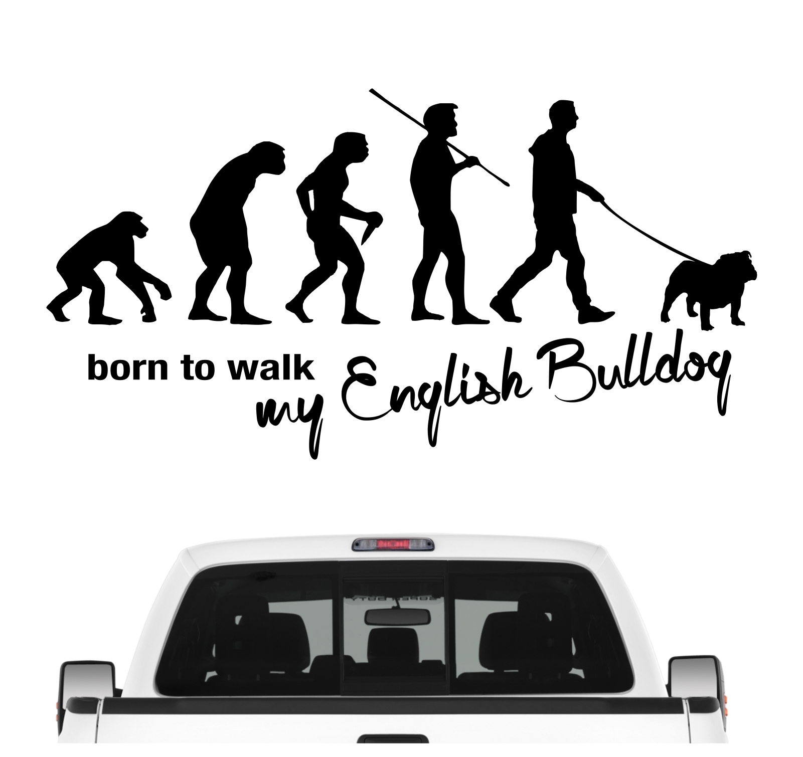 Englische Bulldogge Bully English Bulldog  Evolution Born to Walk Hunde Aufkleber Sticker Autoaufkleber Wandtattoo Tattoo