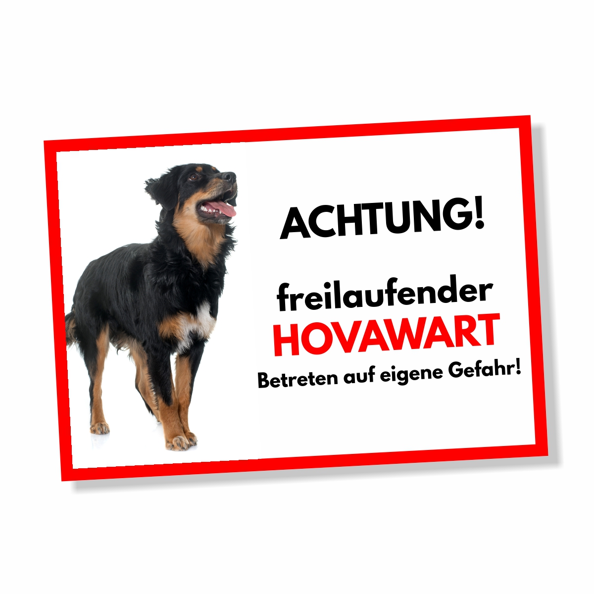 Hovawart Freilaufender Hund Dog Schild Spruch Türschild Hundeschild Warnschild
