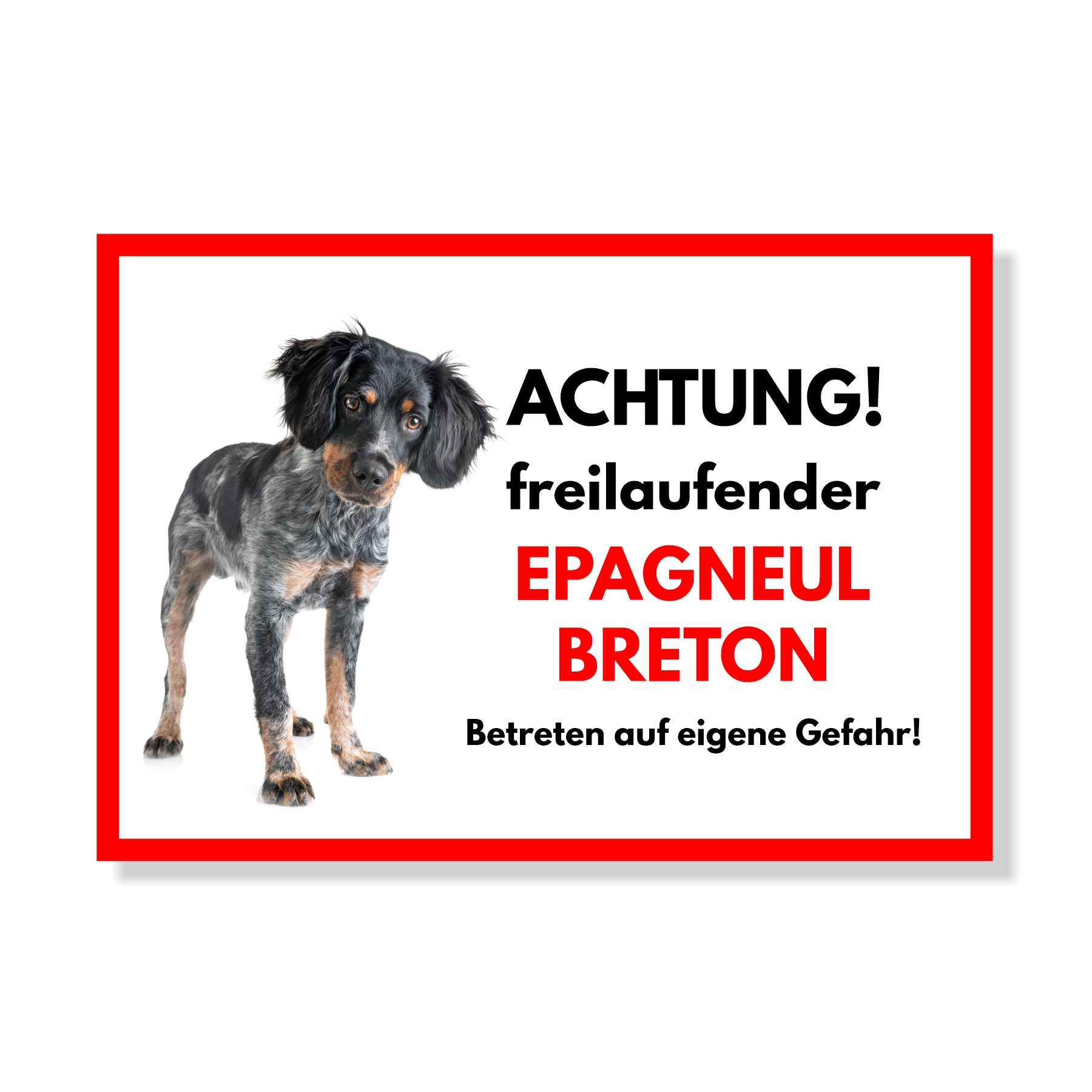 Epagneul Breton Freilaufender Hund Dog Schild Spruch Türschild Hundeschild Warnschild