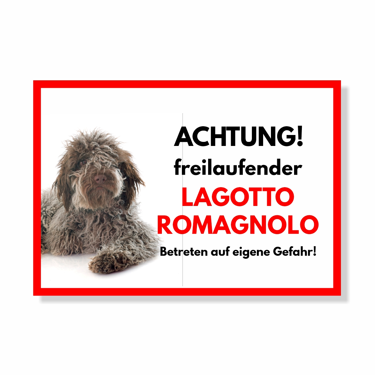 Lagotto Romagnolo Freilaufender Hund Dog Schild Spruch Türschild Hundeschild Warnschild