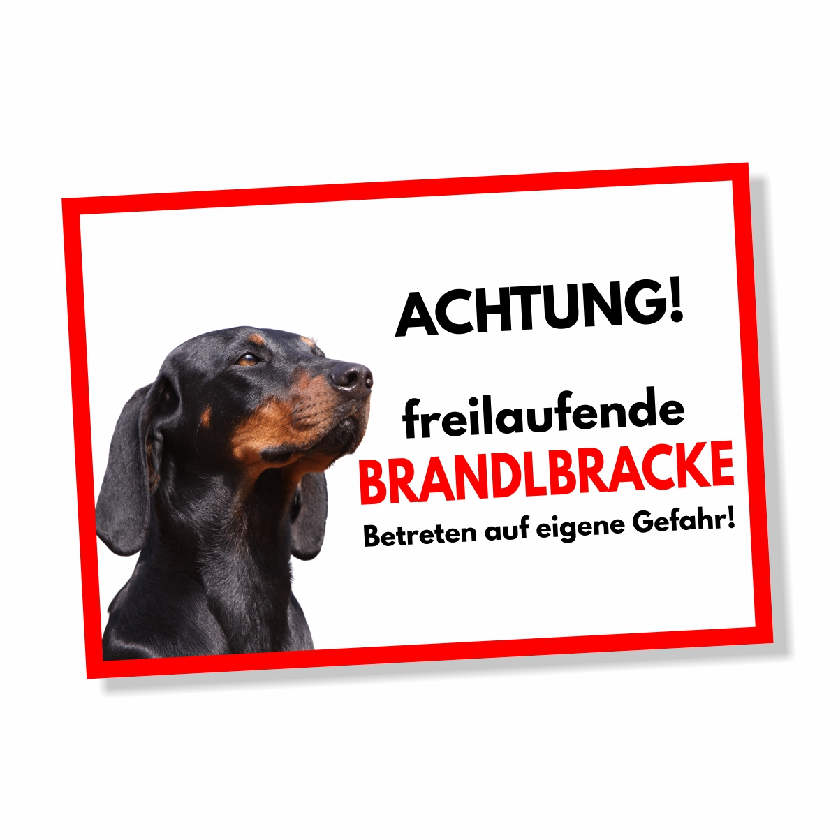 Brandlbracke Freilaufender Hund Dog Schild Spruch Türschild Hundeschild Warnschild