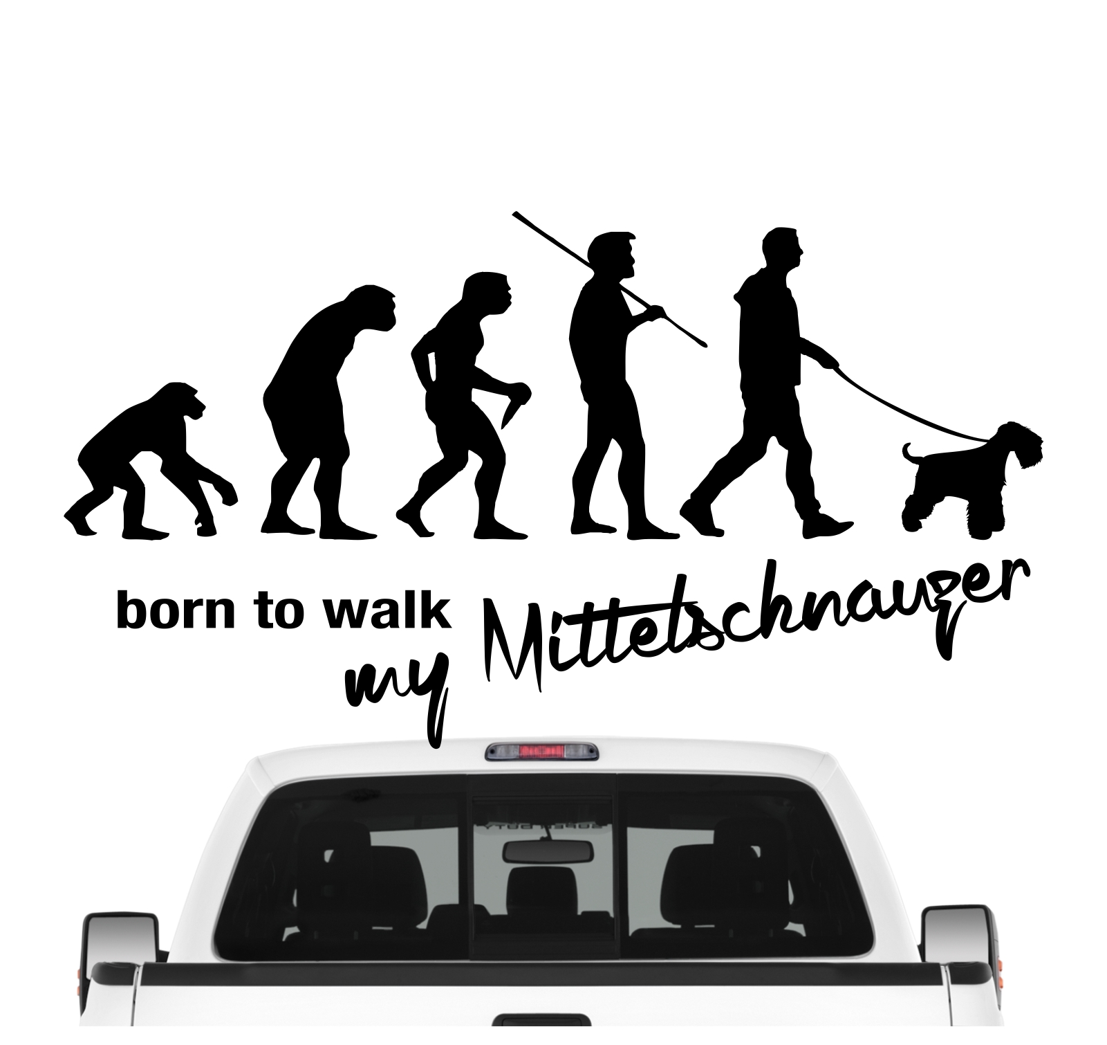 Mittelschnauzer Schnauzer Mittel  Evolution Born to Walk Hunde Aufkleber Sticker Autoaufkleber Wandtattoo Tattoo