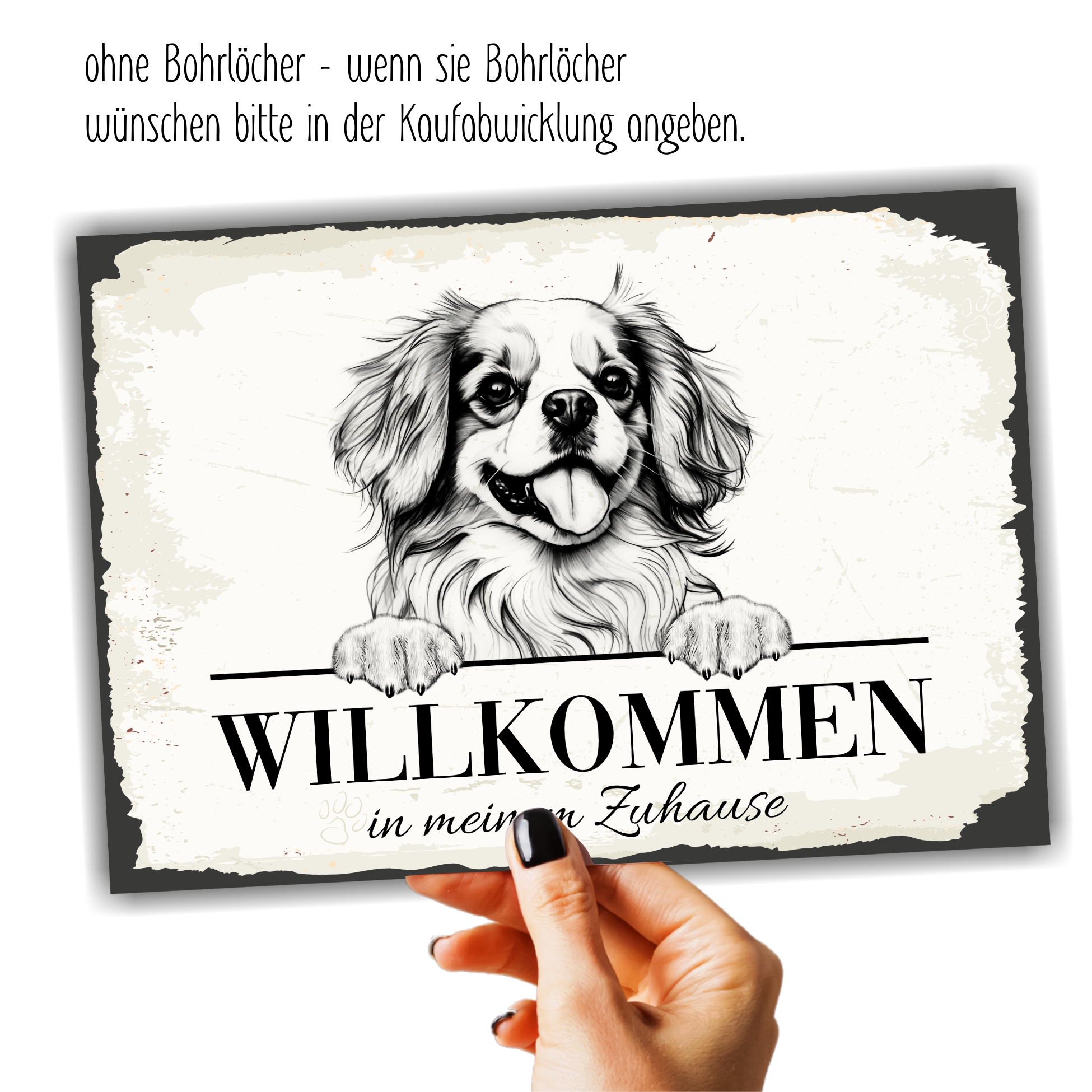 Hundeschild Willkommen Zuhause Tibet Spaniel