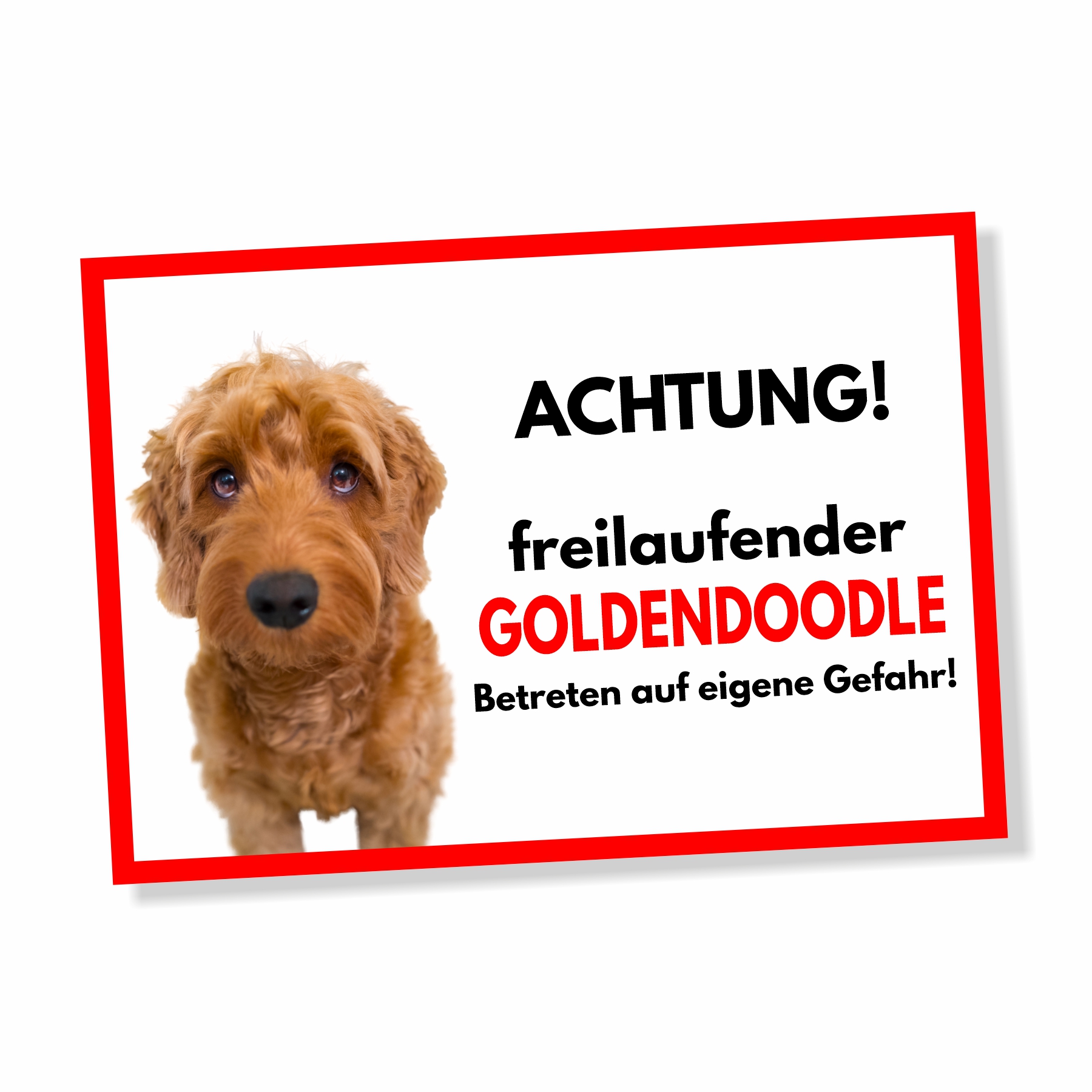 Goldendoodle Freilaufender Hund Dog Schild Spruch Türschild Hundeschild Warnschild