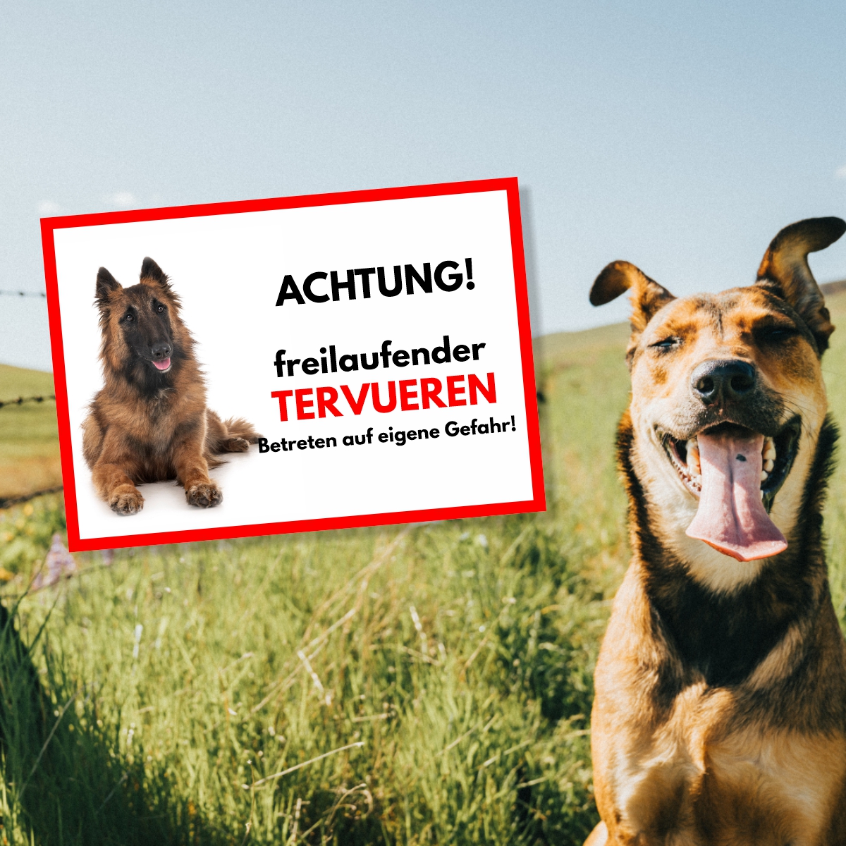 Tervueren Freilaufender Hund Dog Schild Spruch Türschild Hundeschild Warnschild