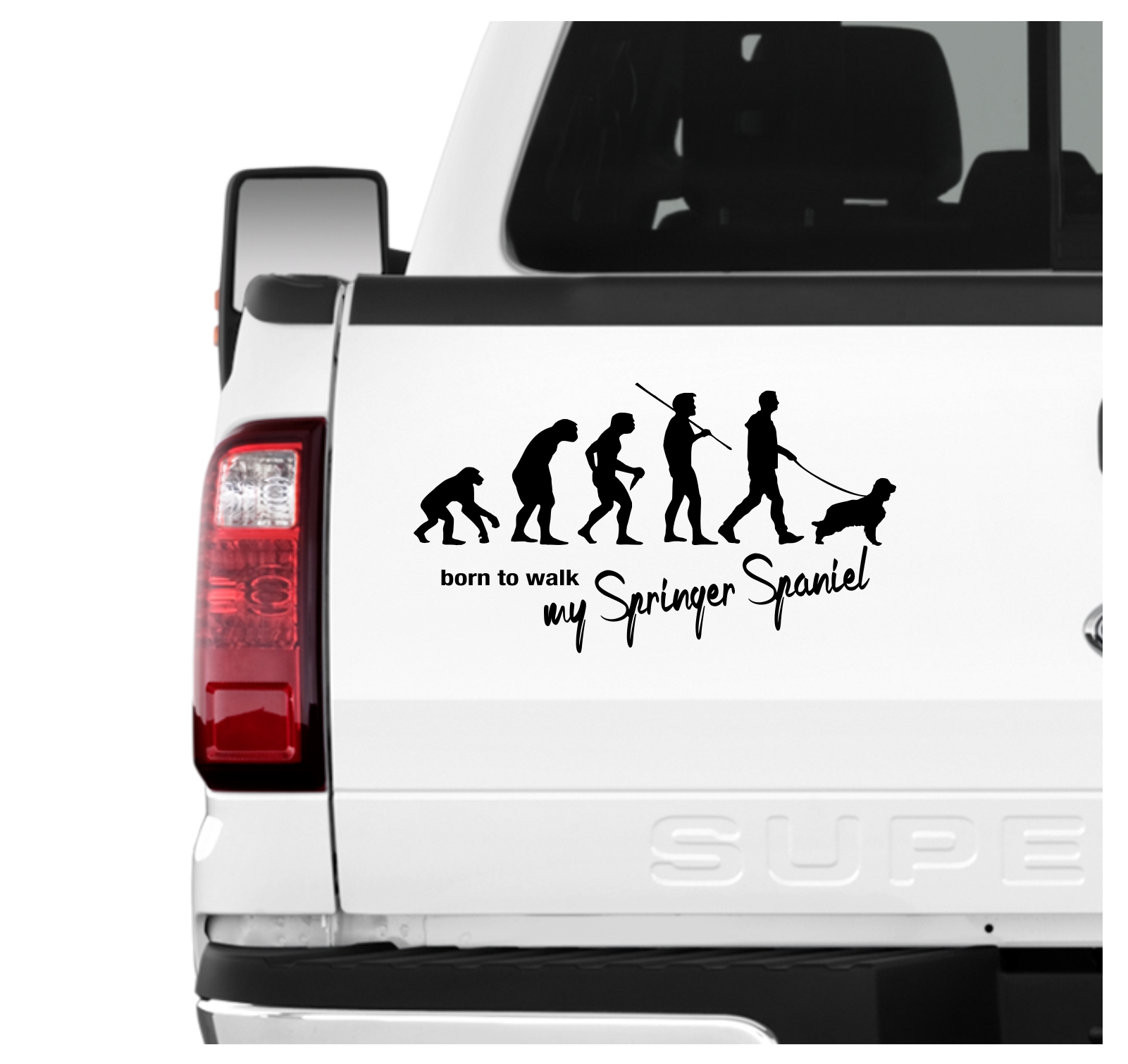 Springer Spaniel English Spanier Welsh Evolution Born to Walk Hunde Aufkleber Sticker Autoaufkleber Wandtattoo Tattoo
