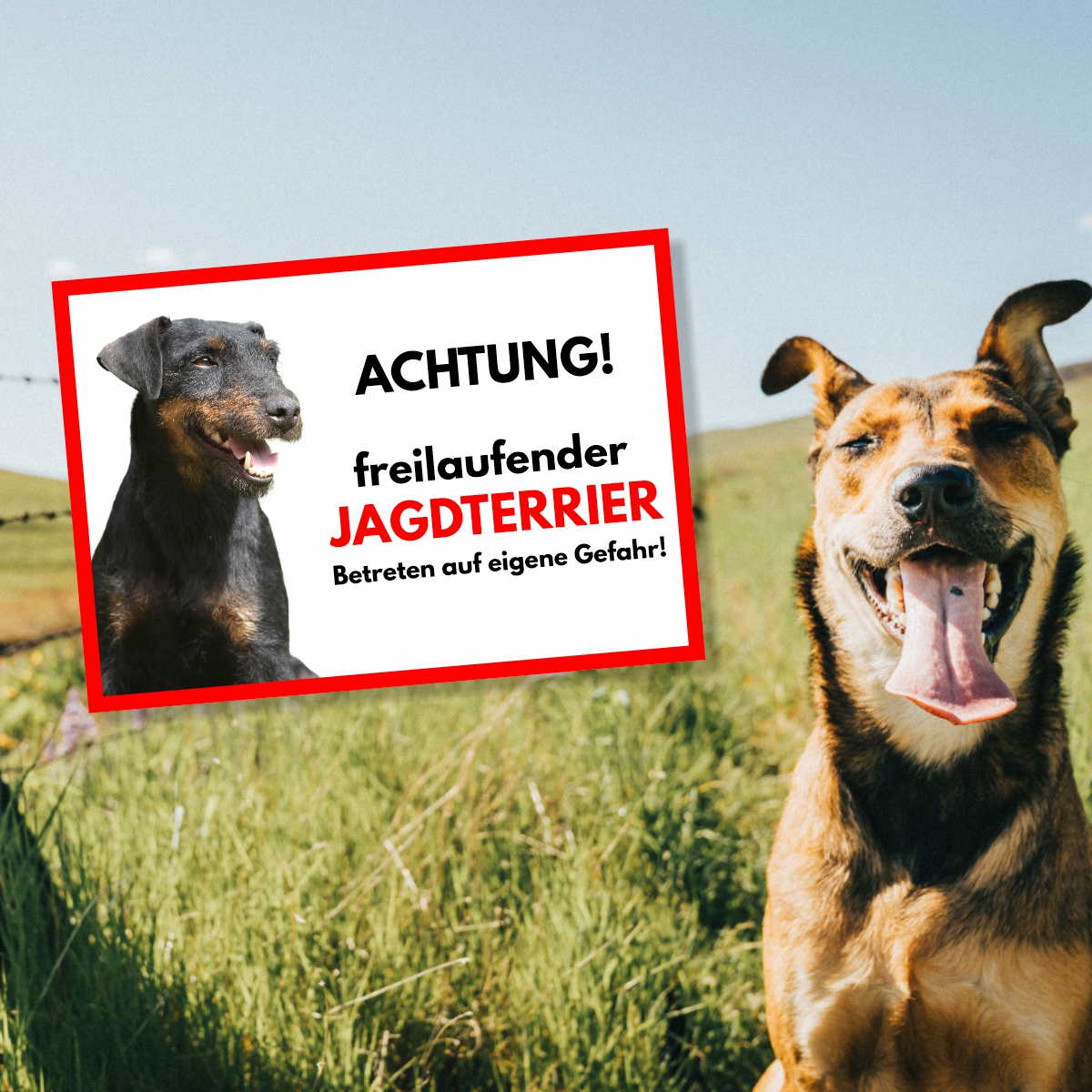 Deutscher Jagdterrier Freilaufender Hund Dog Schild Spruch Türschild Hundeschild Warnschild