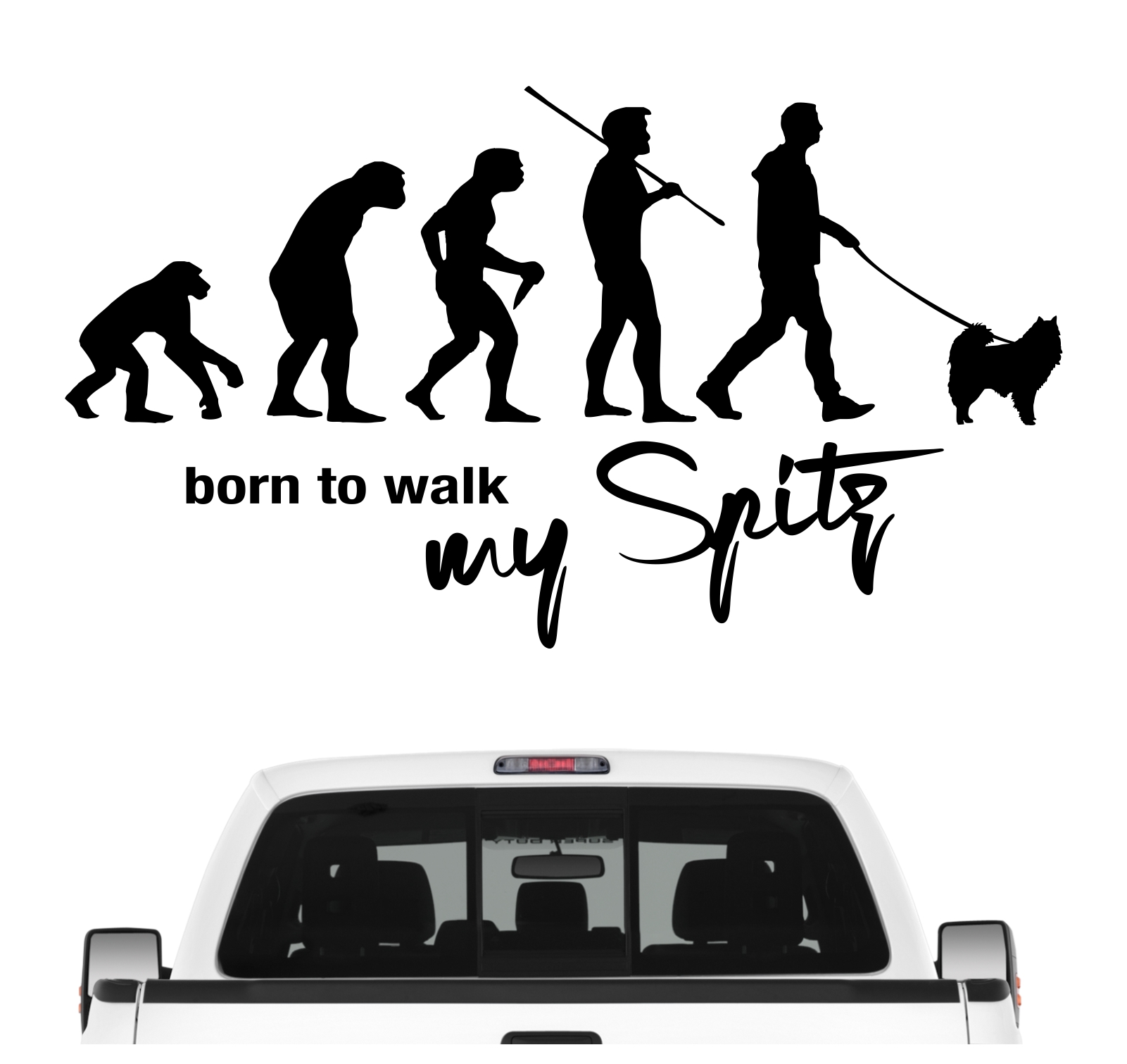 Spitz Spitze deutsche  Zwergspitz Evolution Born to Walk Hunde Aufkleber Sticker Autoaufkleber Wandtattoo Tattoo