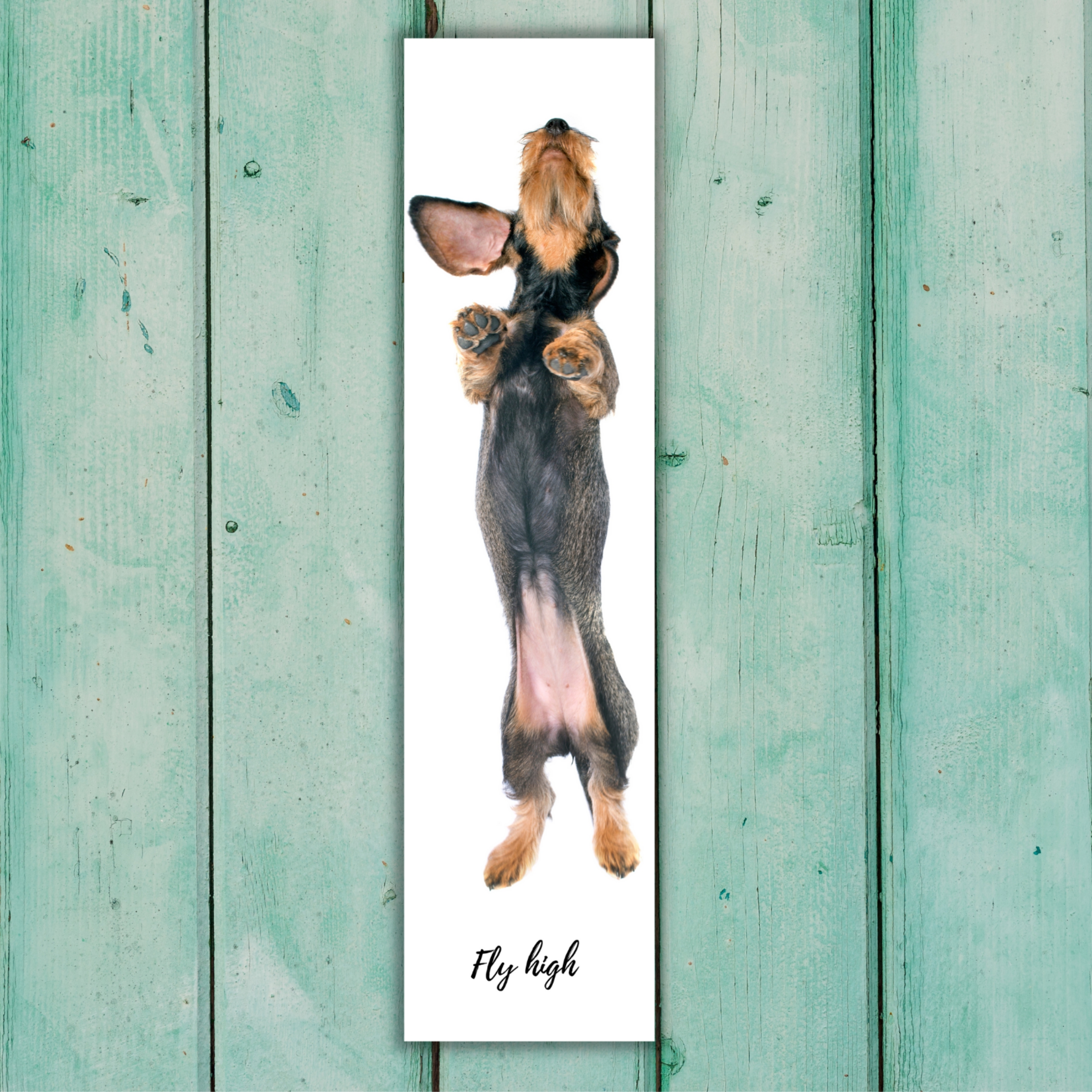 Rauhaardackel Dackel Schild Fly high Spruch Türschild Warnschild Fun cool Design