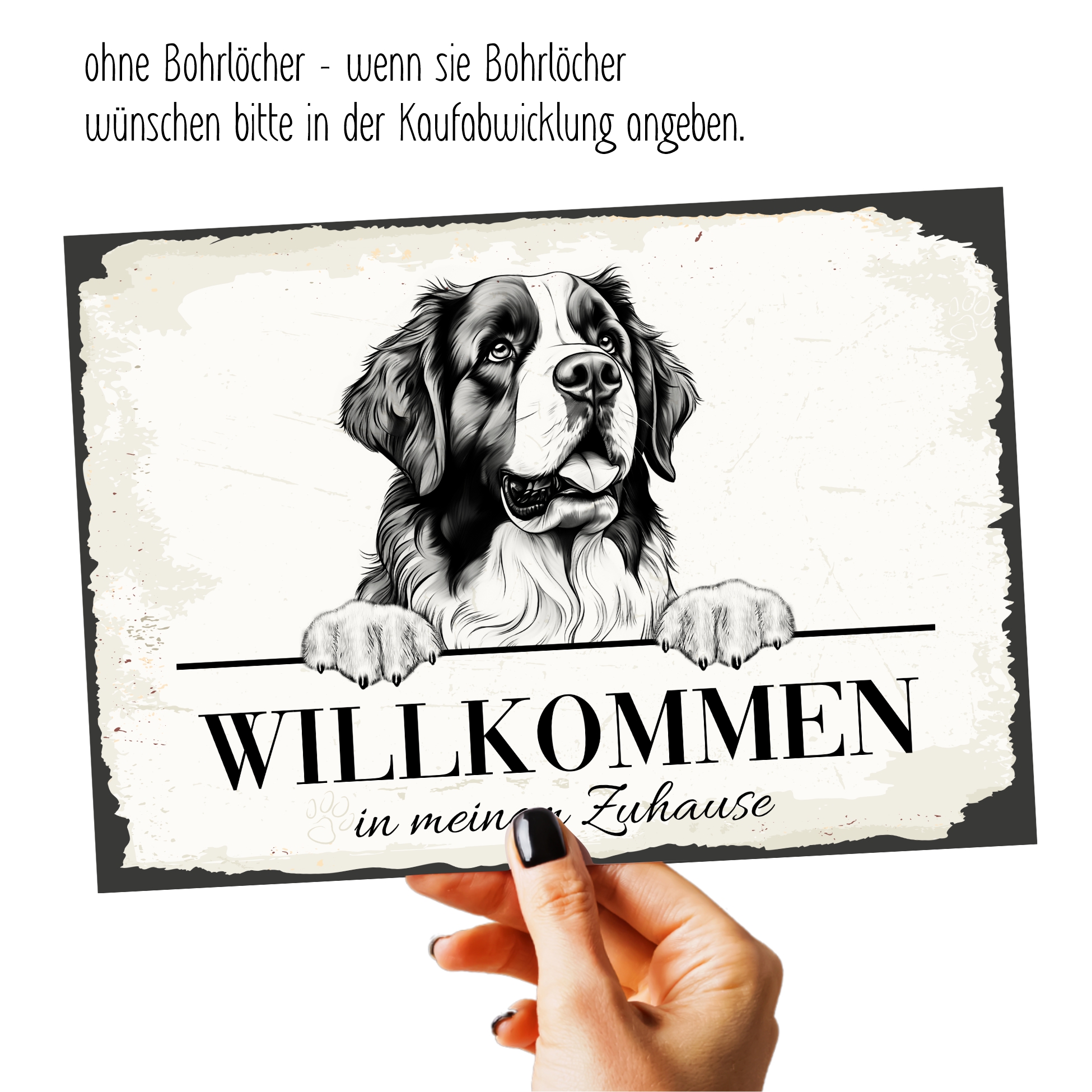 Hundeschild Willkommen Zuhause Bernhardiner  Schild Achtung