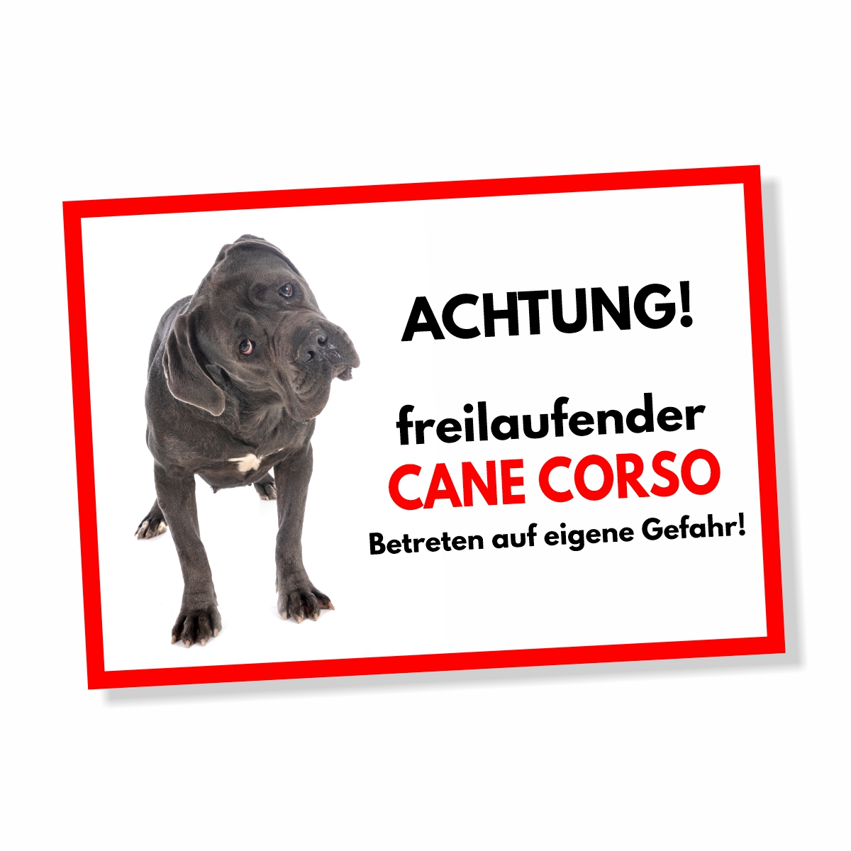 Cane Corso Freilaufender Hund Dog Schild Spruch Türschild Hundeschild Warnschild