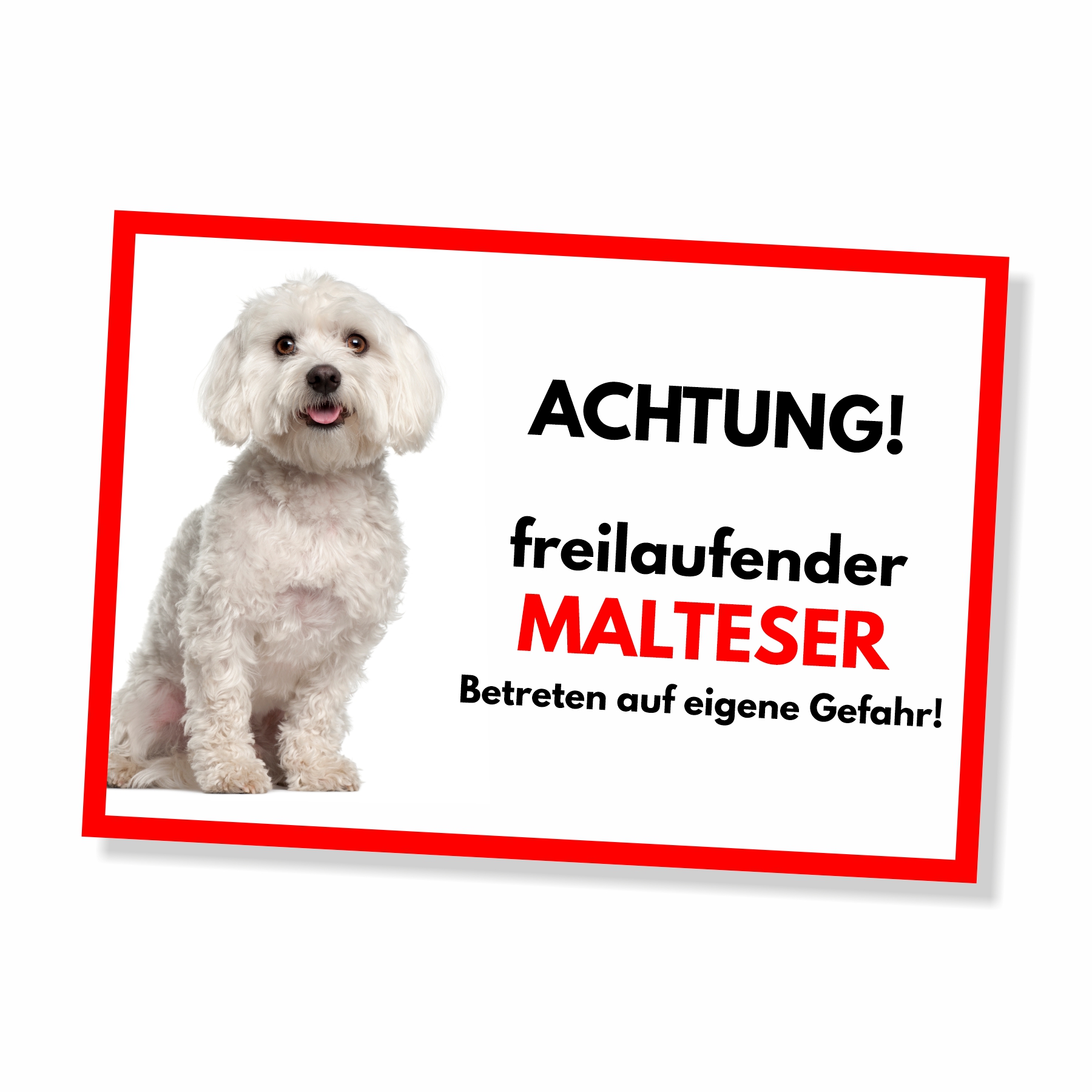 Malteser Freilaufender Hund Dog Schild Spruch Türschild Hundeschild Warnschild