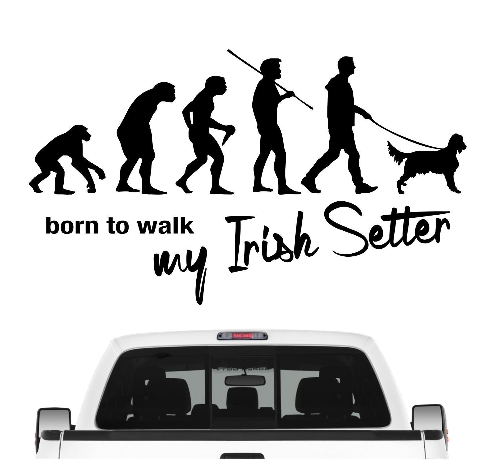 Irish Setter Red Irischer Roter Setter Evolution Born to Walk Hunde Aufkleber Sticker Autoaufkleber Wandtattoo Tattoo