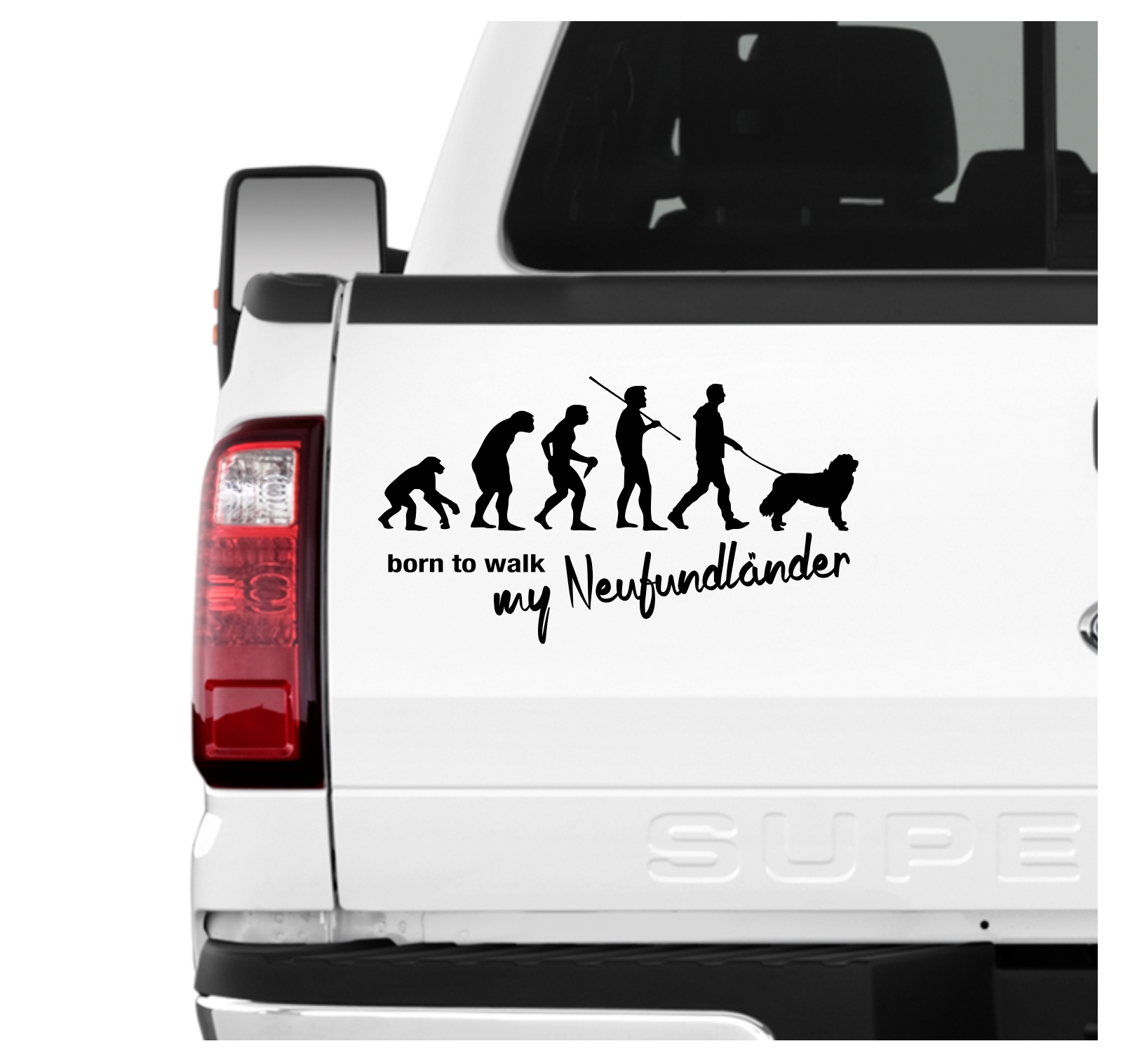 Neufundländer Neufi Newf  Newfie The Gentle Giant Evolution Born to Walk Hunde Aufkleber Sticker Autoaufkleber Wandtattoo Tattoo