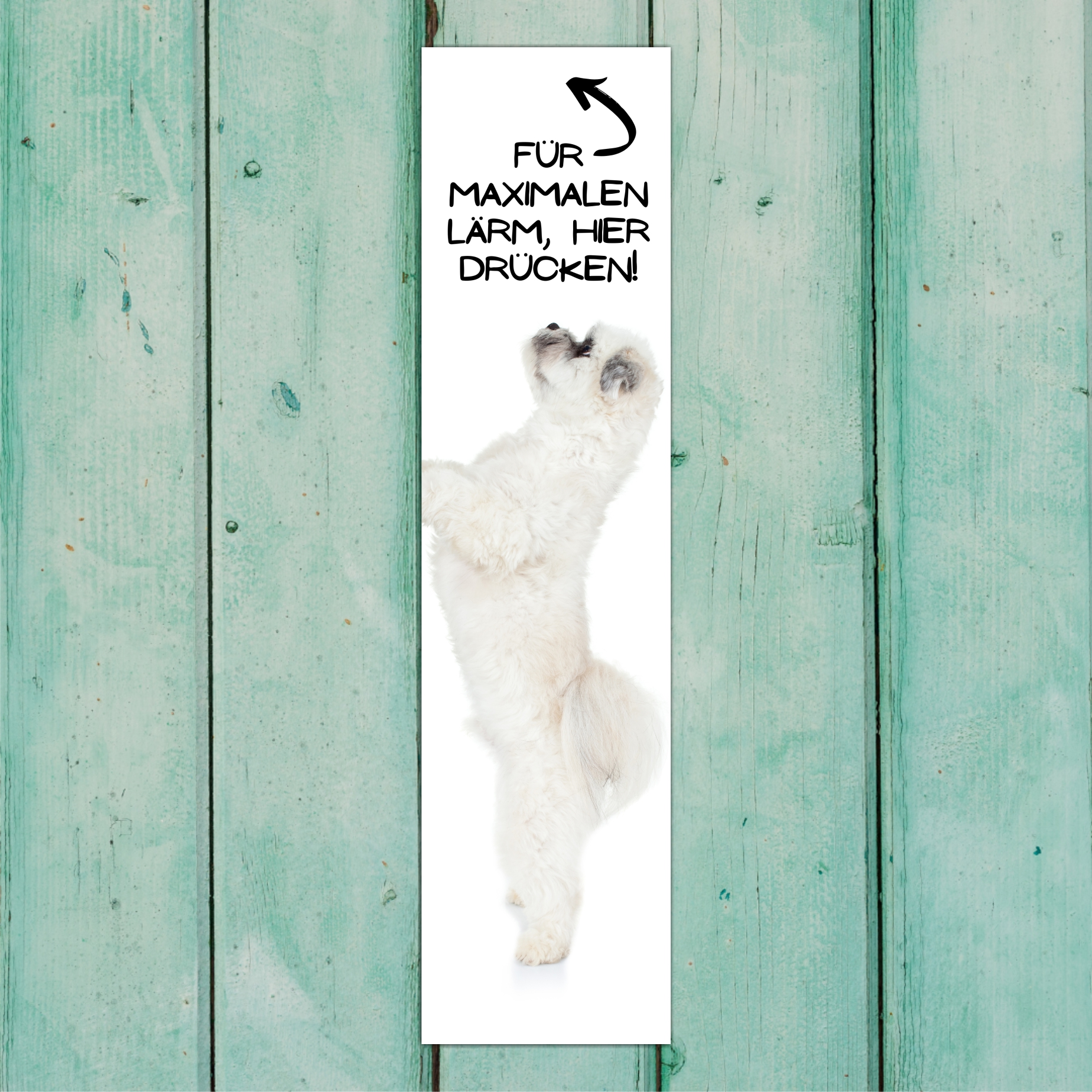Havaneser Havanese Kuba Bichon Havana Bichon Habanero Dog Türschild Warnschild Hundeschild Schildr happy Design by Siviwonder